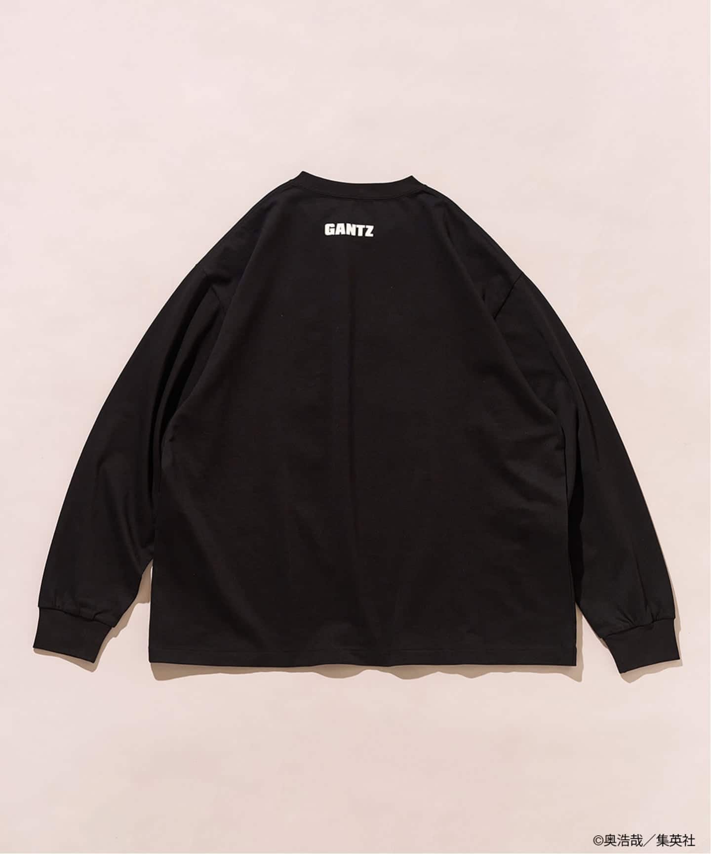 予約》GANTZ / ガンツ 417別注 COLORWORKS L/S Tシャツ（Tシャツ