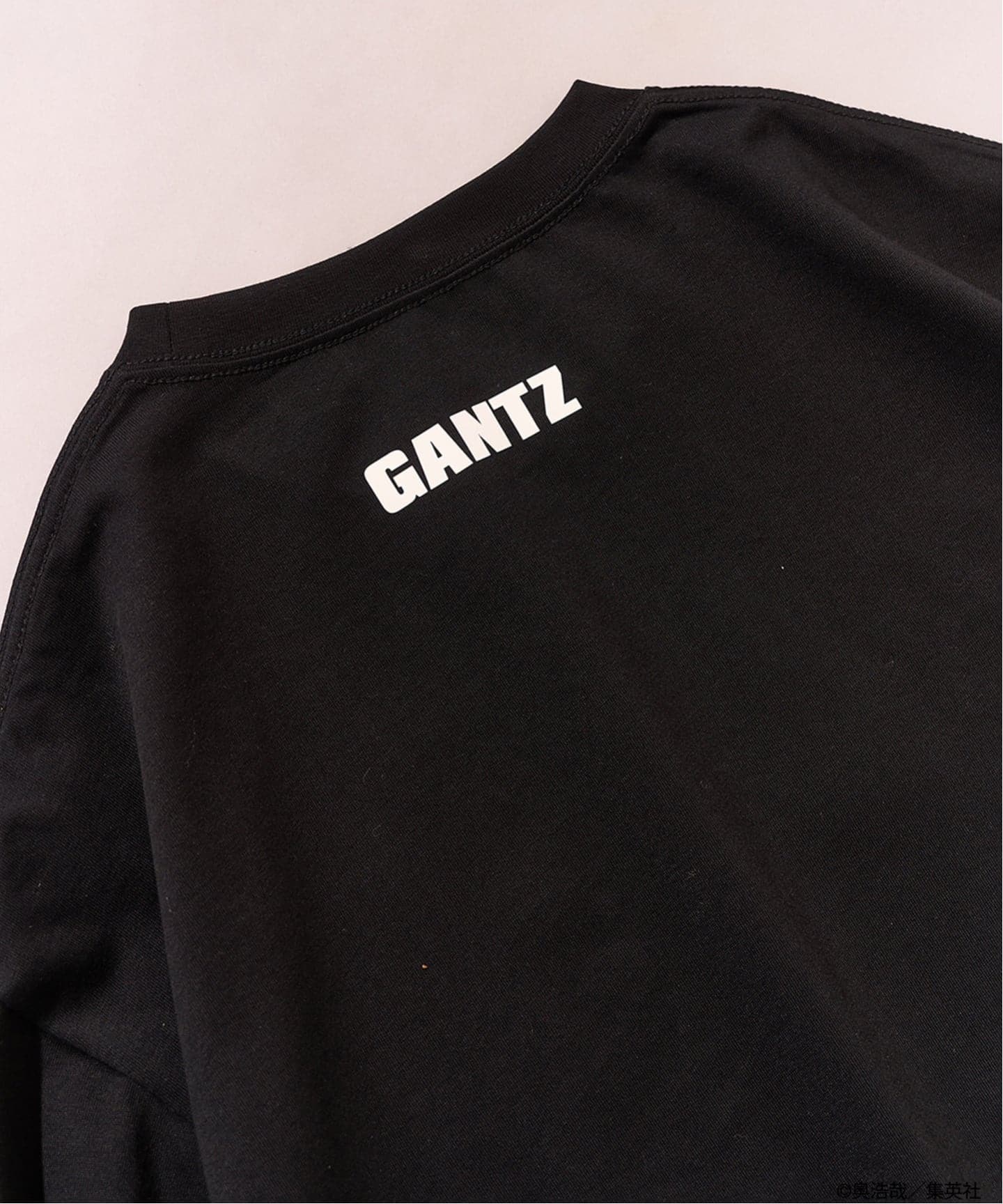 GANTZ / ガンツ 417別注 COLORWORKS L/S Tシャツ（Tシャツ／カットソー