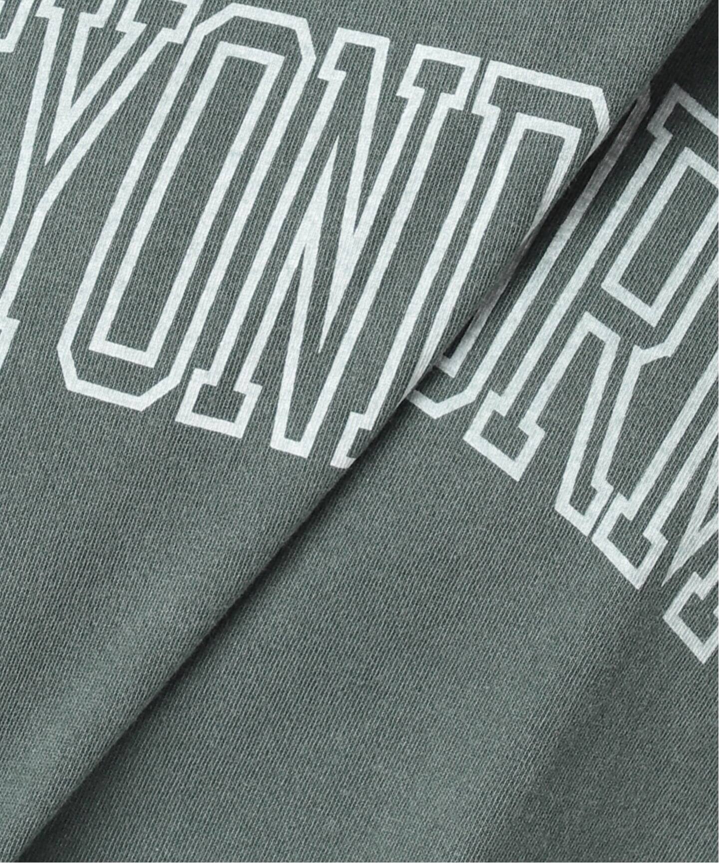 ピグメントテンジクドロストTEE（Tシャツ／カットソー）｜JOURNAL