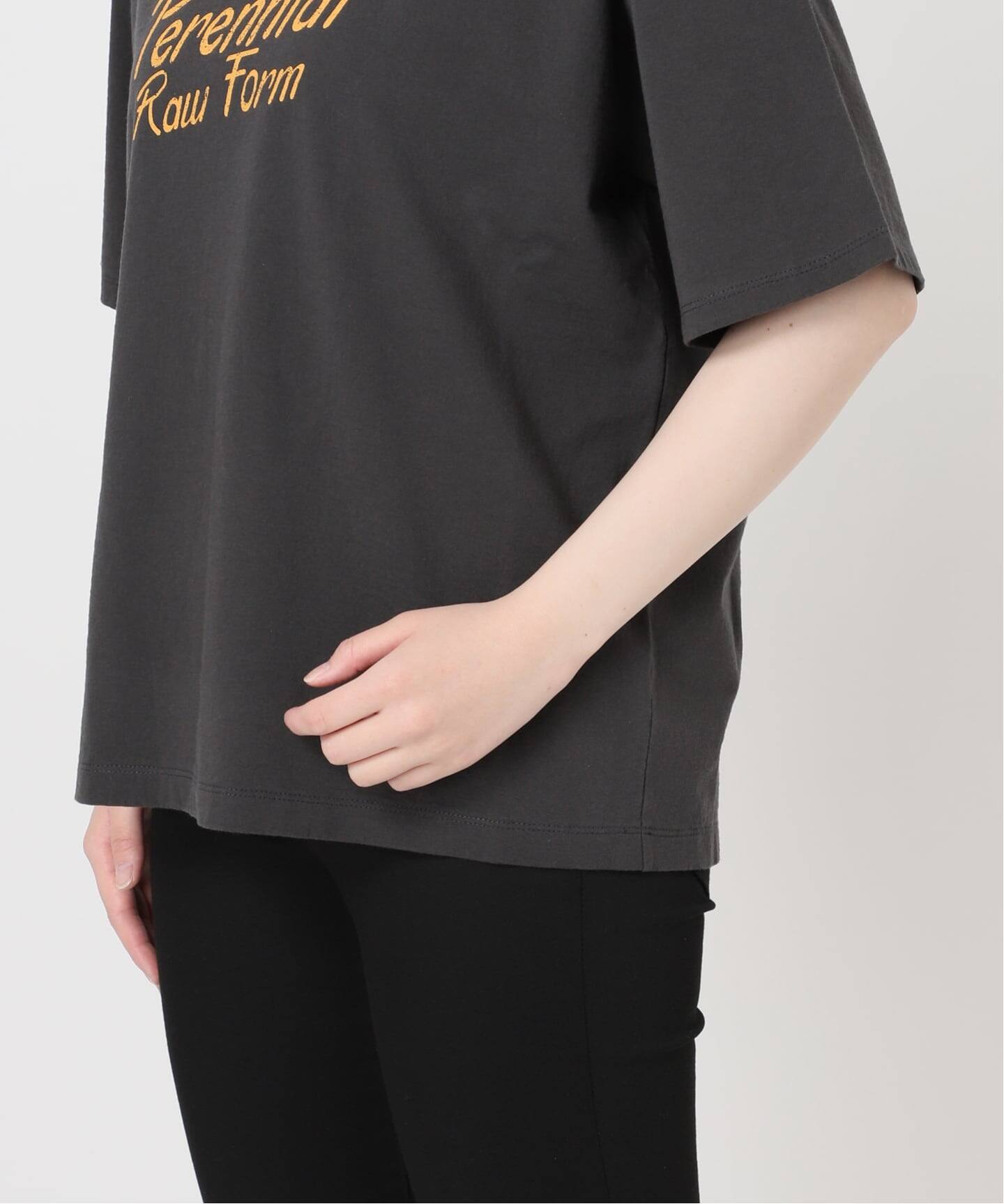 別注【TICCA / ティッカ】Perennial TEE（Tシャツ／カットソー