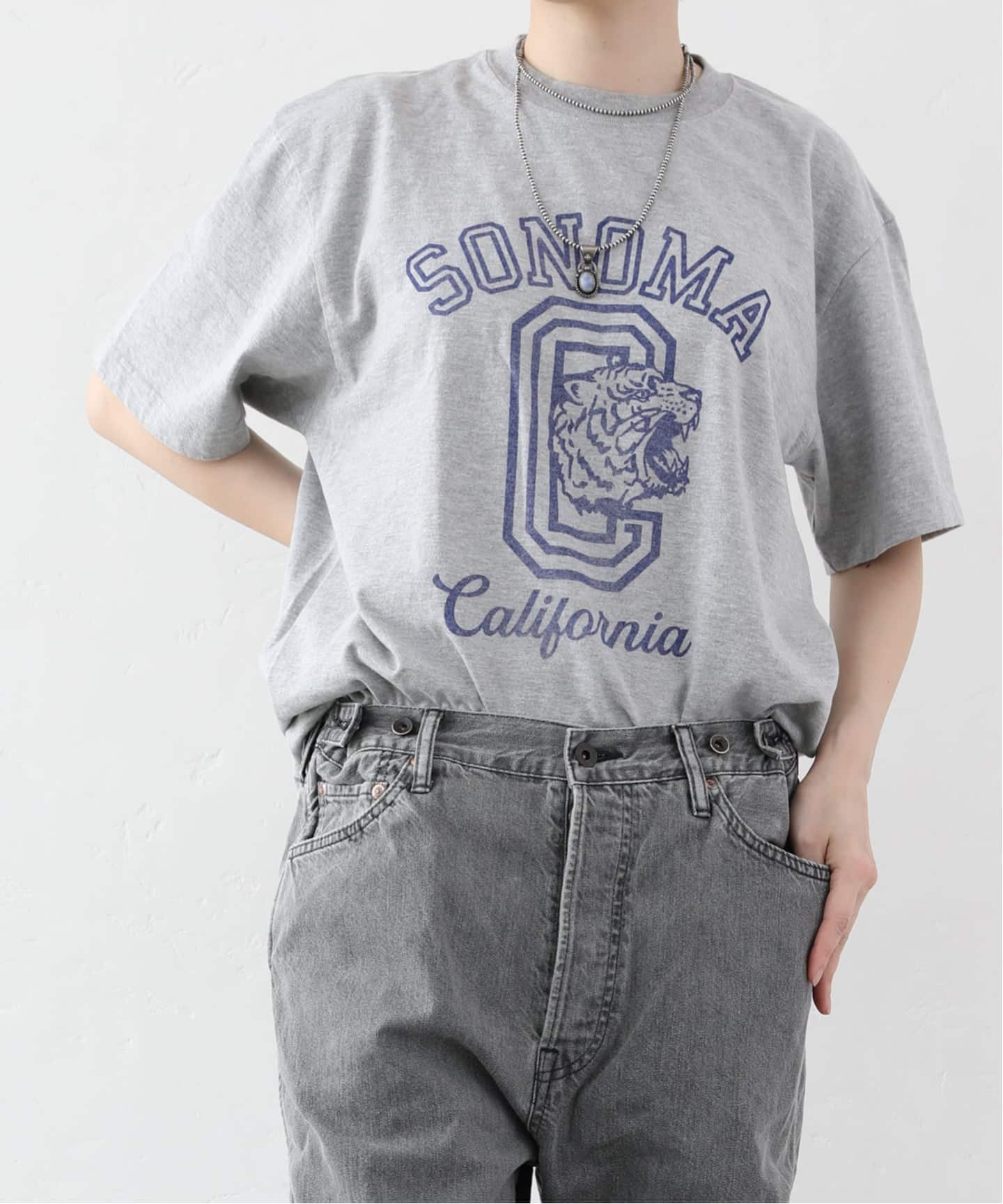 Sonoma トップス ◇SOLAMONAT(ソラモナ) シアーバイカラープルオーバー レディース
