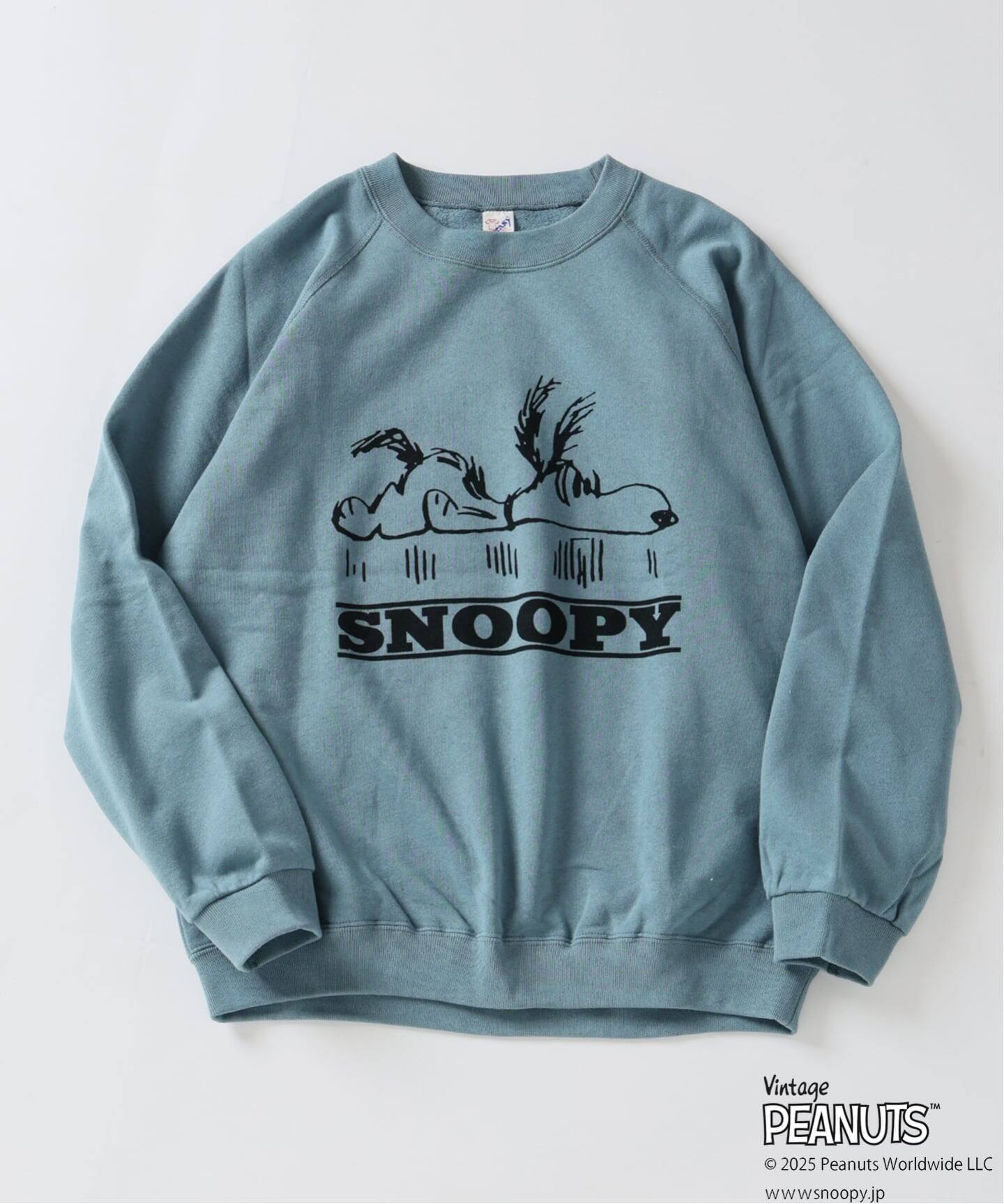 PEANUTS / ピーナッツ 別注 FANTASY A&G INC プリントスウェット