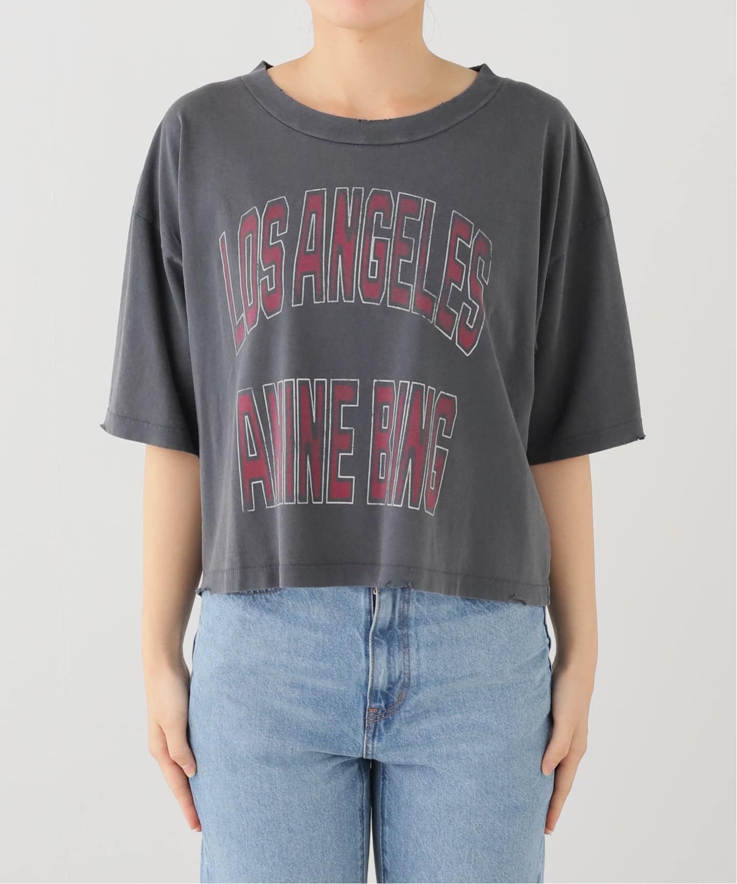 ANINE BING/アニン ビン】 JOHNNY CROPPED TEE（Tシャツ／カットソー