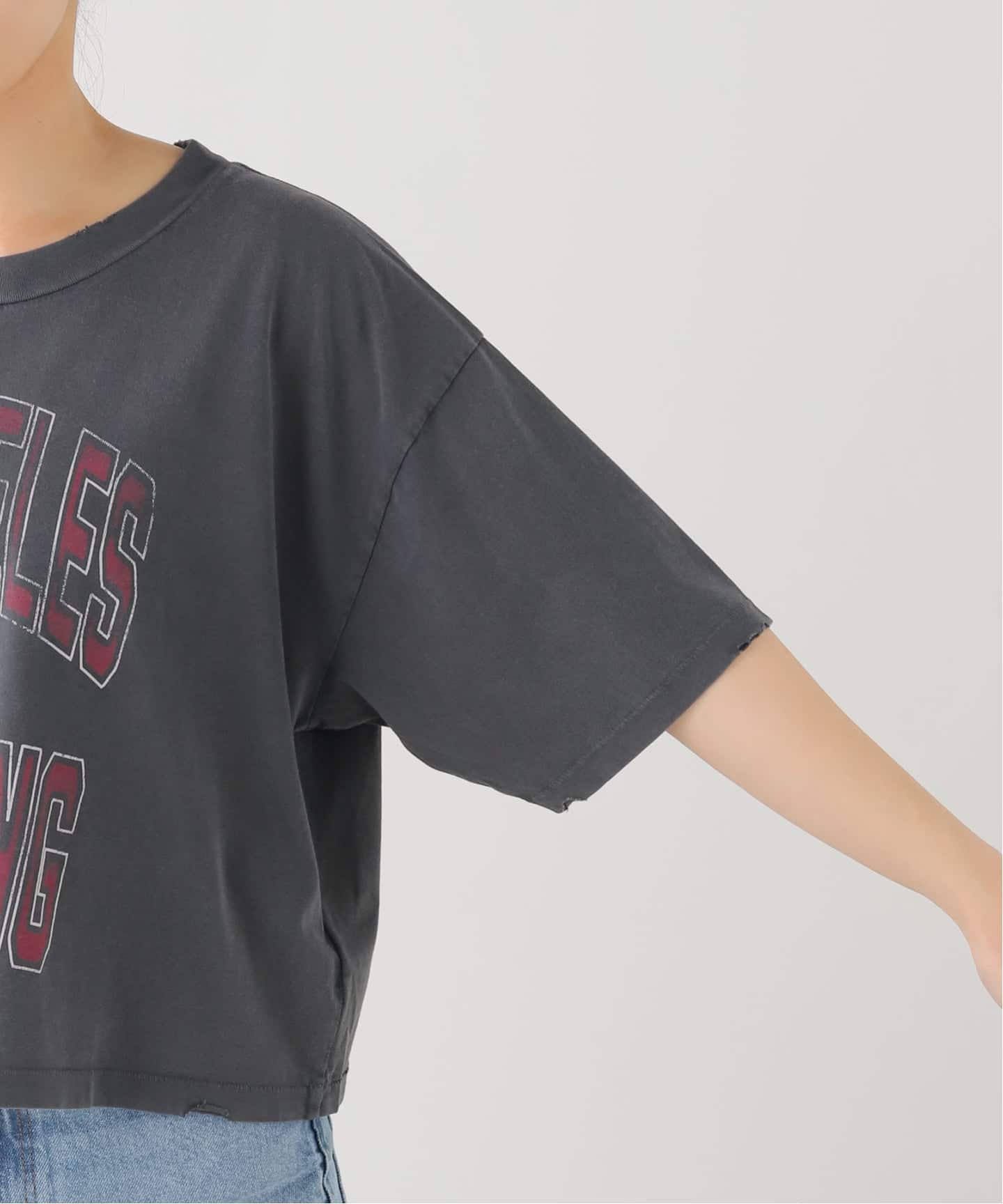 ANINE BING/アニン ビン】 JOHNNY CROPPED TEE（Tシャツ／カットソー