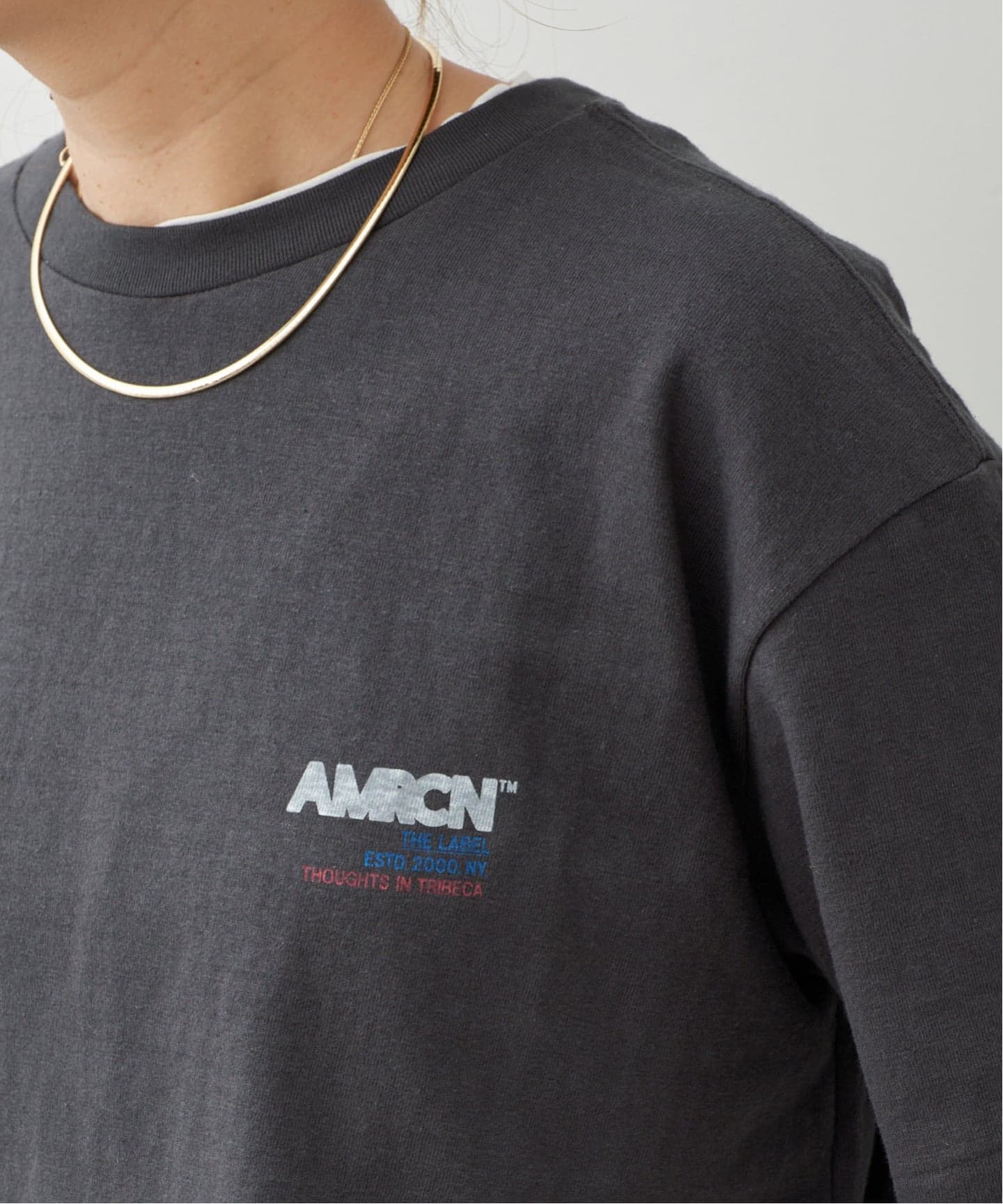 予約》【AMERICANA/アメリカーナ】AMRCN TEE（Tシャツ／カットソー