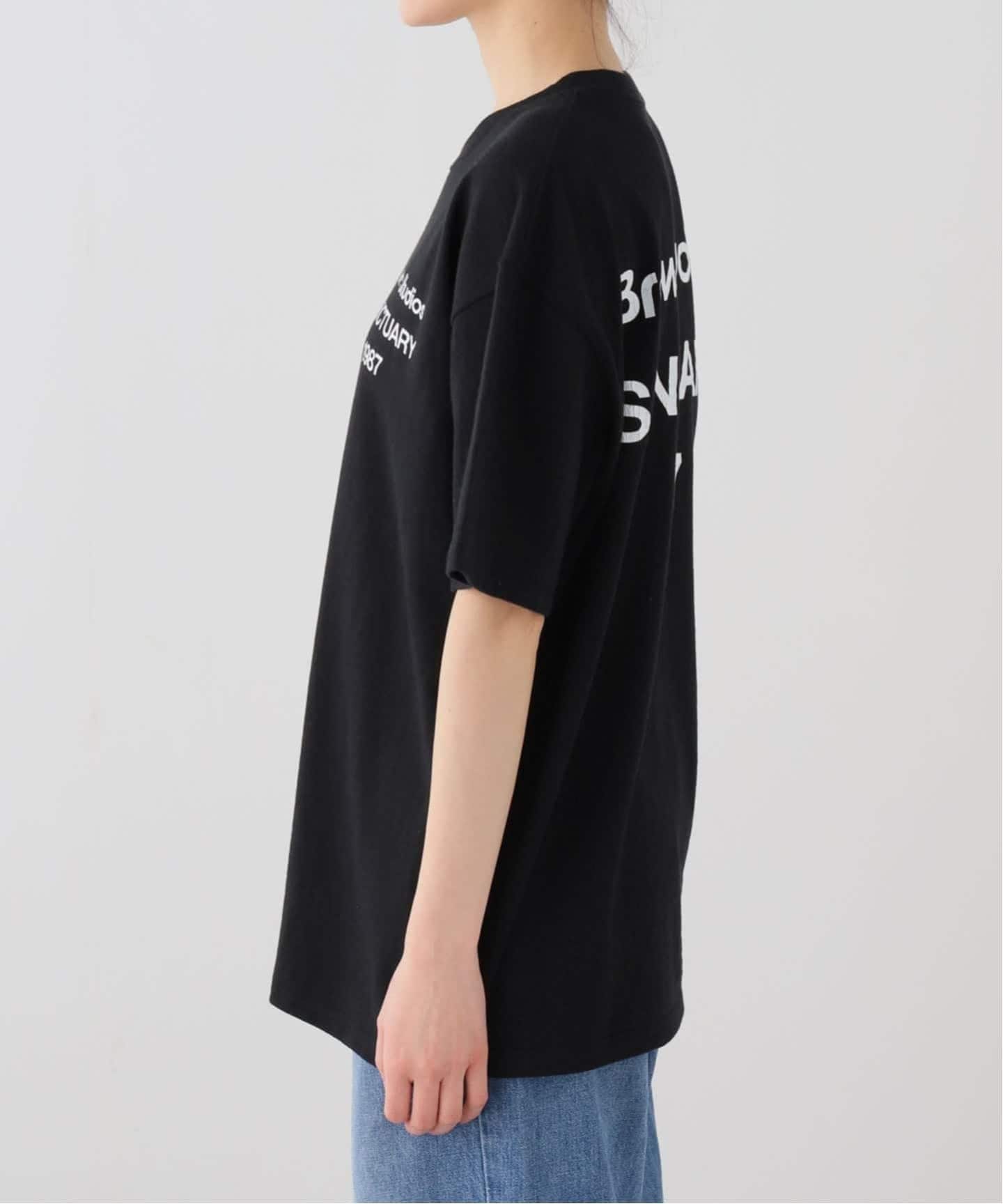 予約》追加【BRAWN/ブラウン】 LOGO Tシャツ（Tシャツ／カットソー