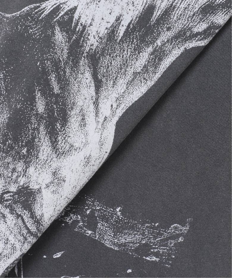 ANINE BING/アニン ビン】HORSE PRINT Tシャツ（Tシャツ／カットソー 