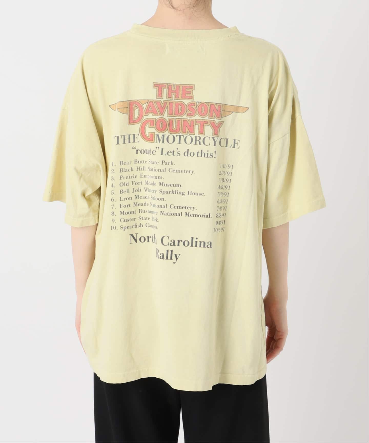 REMI RELIEF/レミレリーフ】BIG Tシャツ(DAVIDSON COUNTRY)（Tシャツ