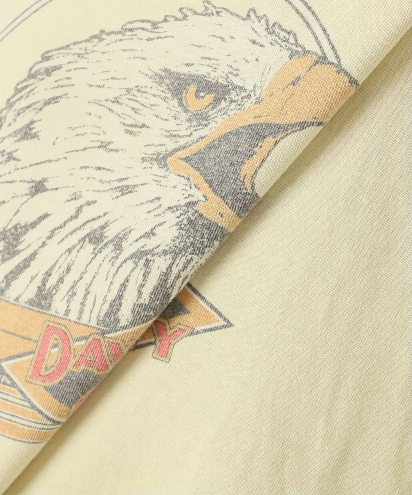 REMI RELIEF/レミレリーフ】BIG Tシャツ(DAVIDSON COUNTRY)（Tシャツ