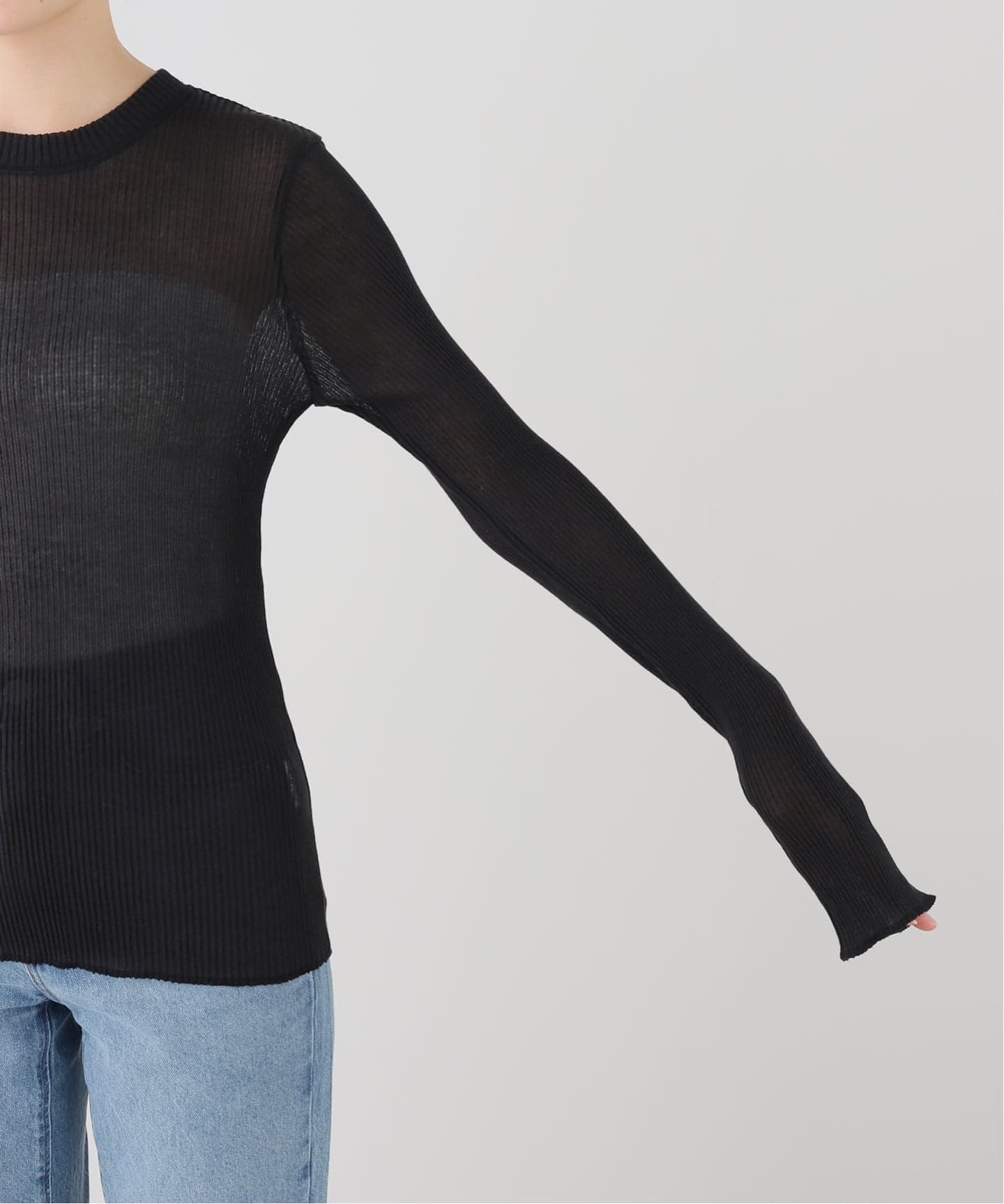 RASPAIL/ラスパイユ】SHEER SHIRT（Tシャツ／カットソー）｜L