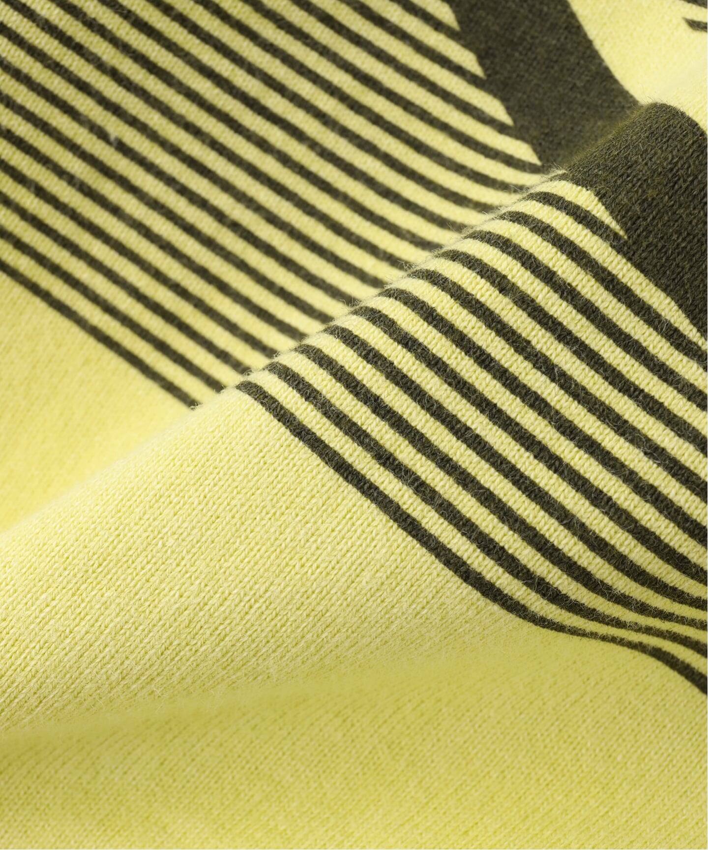 C.E / シーイー cavempt OVERDYE MD a2d LIGHT BIG CRE（Tシャツ