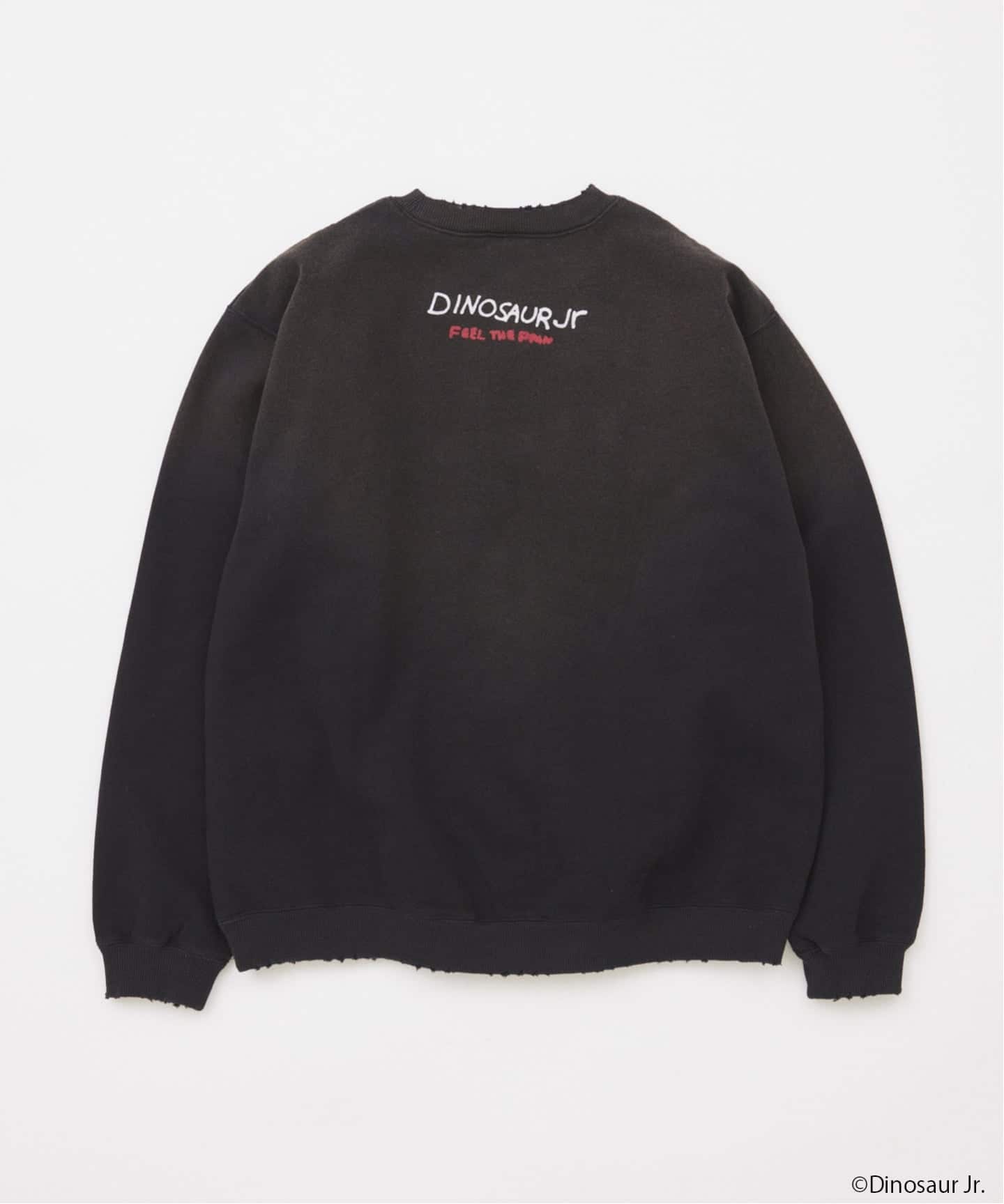 DINOSAUR Jr. / ダイナソー Jr. プリントスウェット（スウェット
