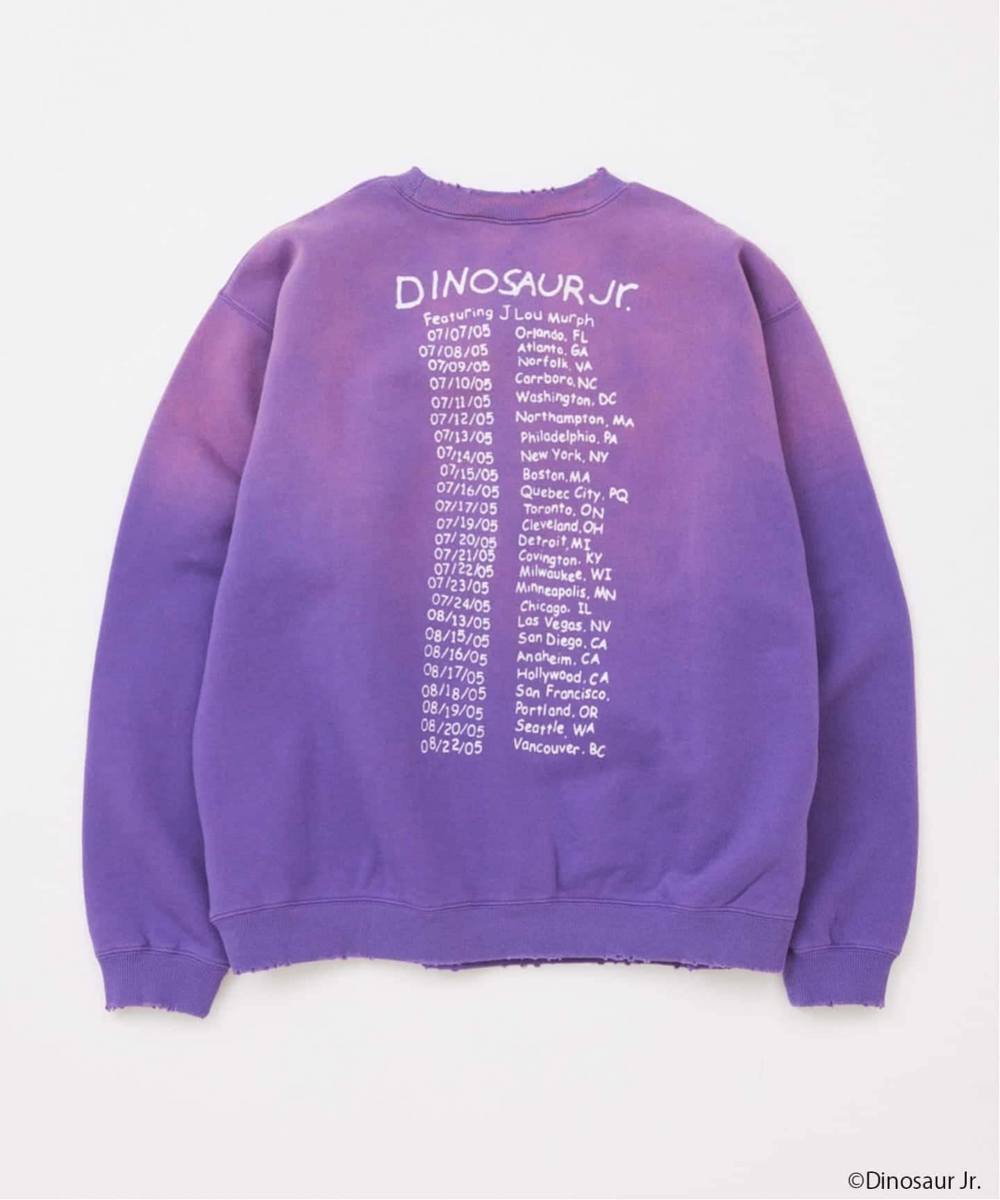 DINOSAUR Jr. / ダイナソー Jr. プリントスウェット（スウェット