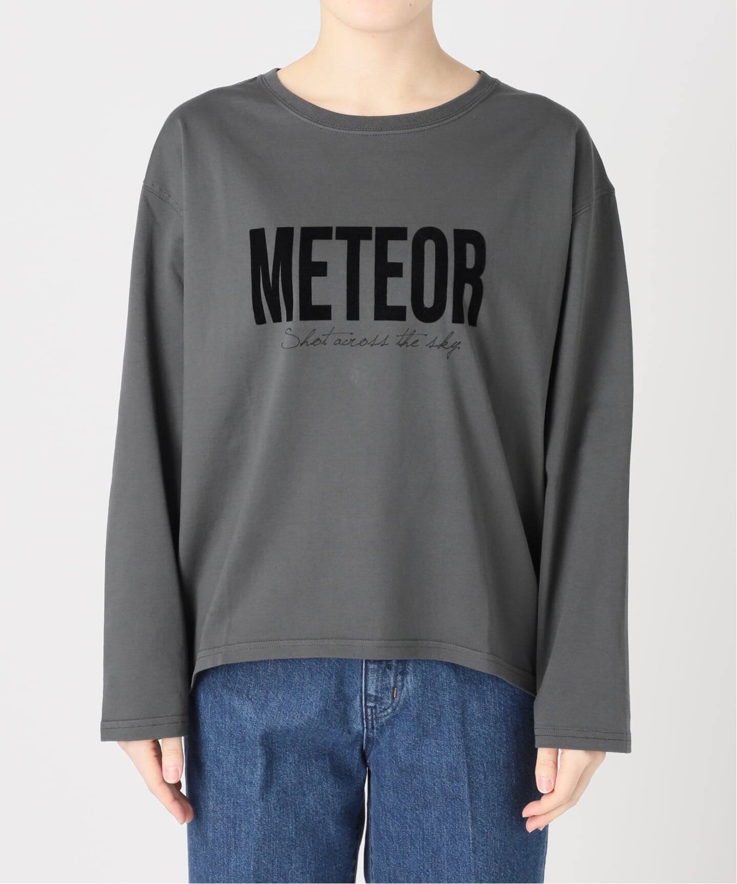 手洗い可 / フロッキーオーバーロンTEE（Tシャツ／カットソー）｜B.C
