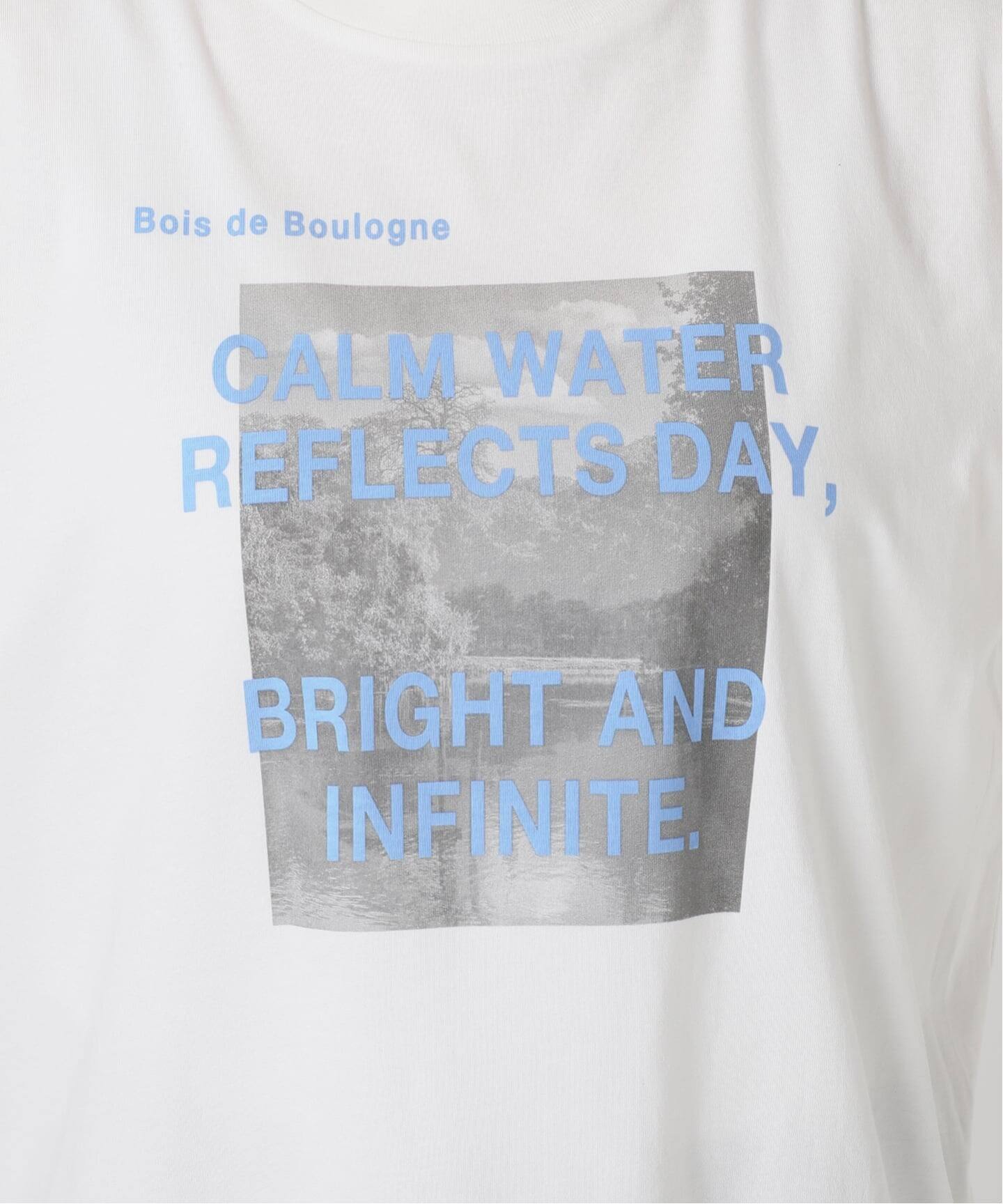 IENA□ロゴプリントTシャツ コットンフォトプリント ロゴTシャツ（Tシャツ／カットソー）｜IENA