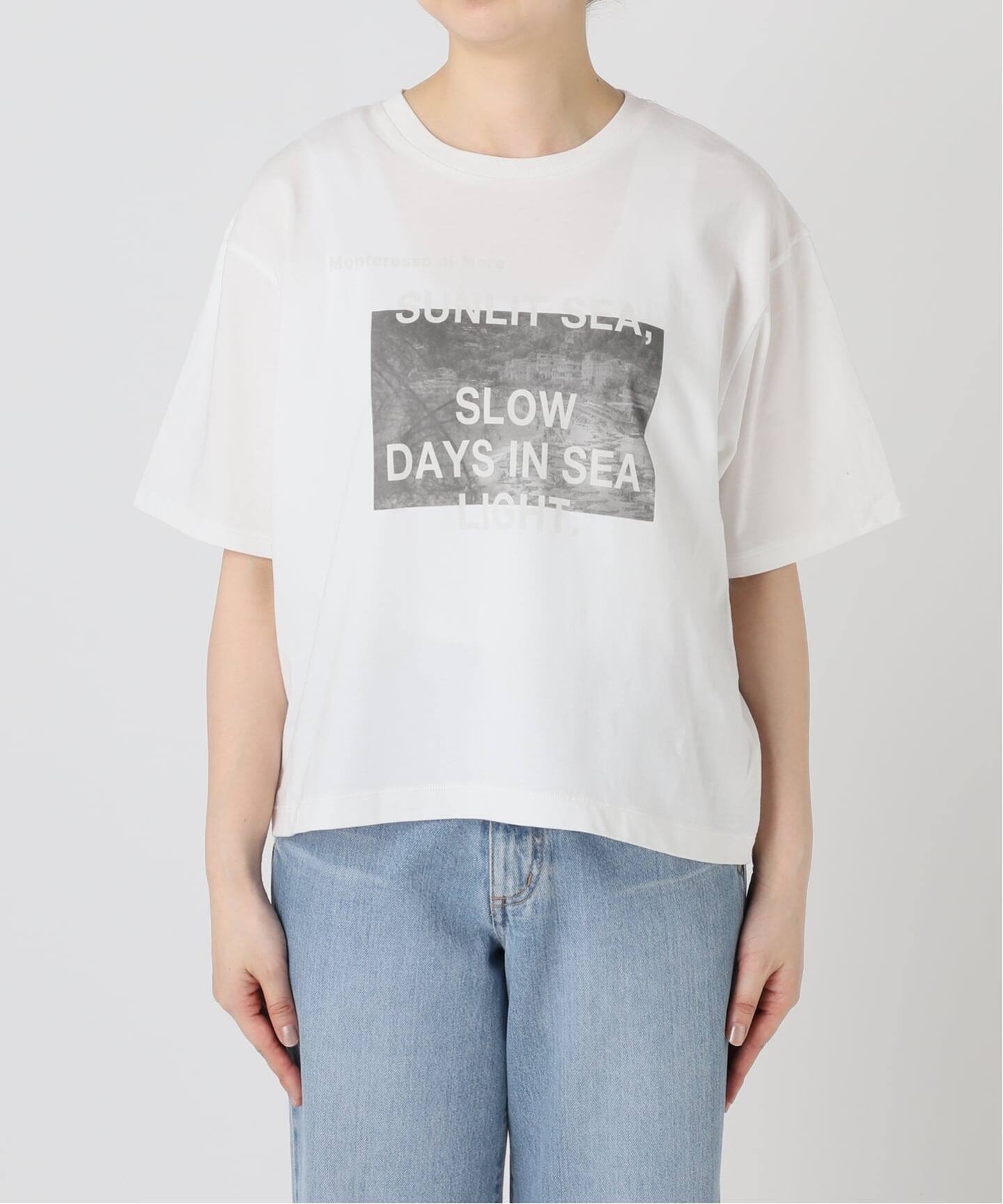 WEB限定/追加》コットンフォトプリント ロゴTシャツ（Tシャツ