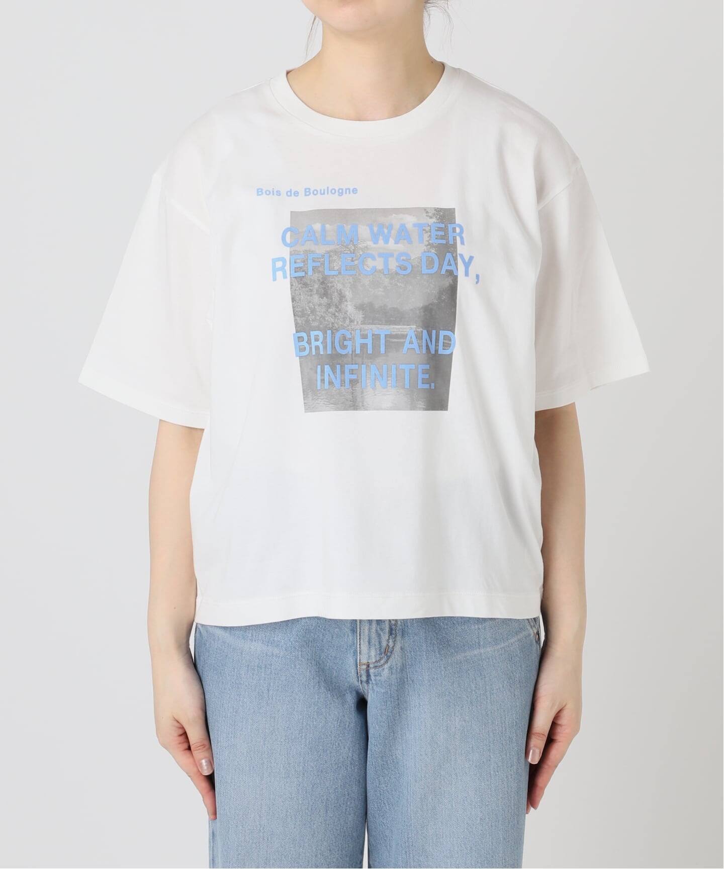 WEB限定/追加》コットンフォトプリント ロゴTシャツ（Tシャツ