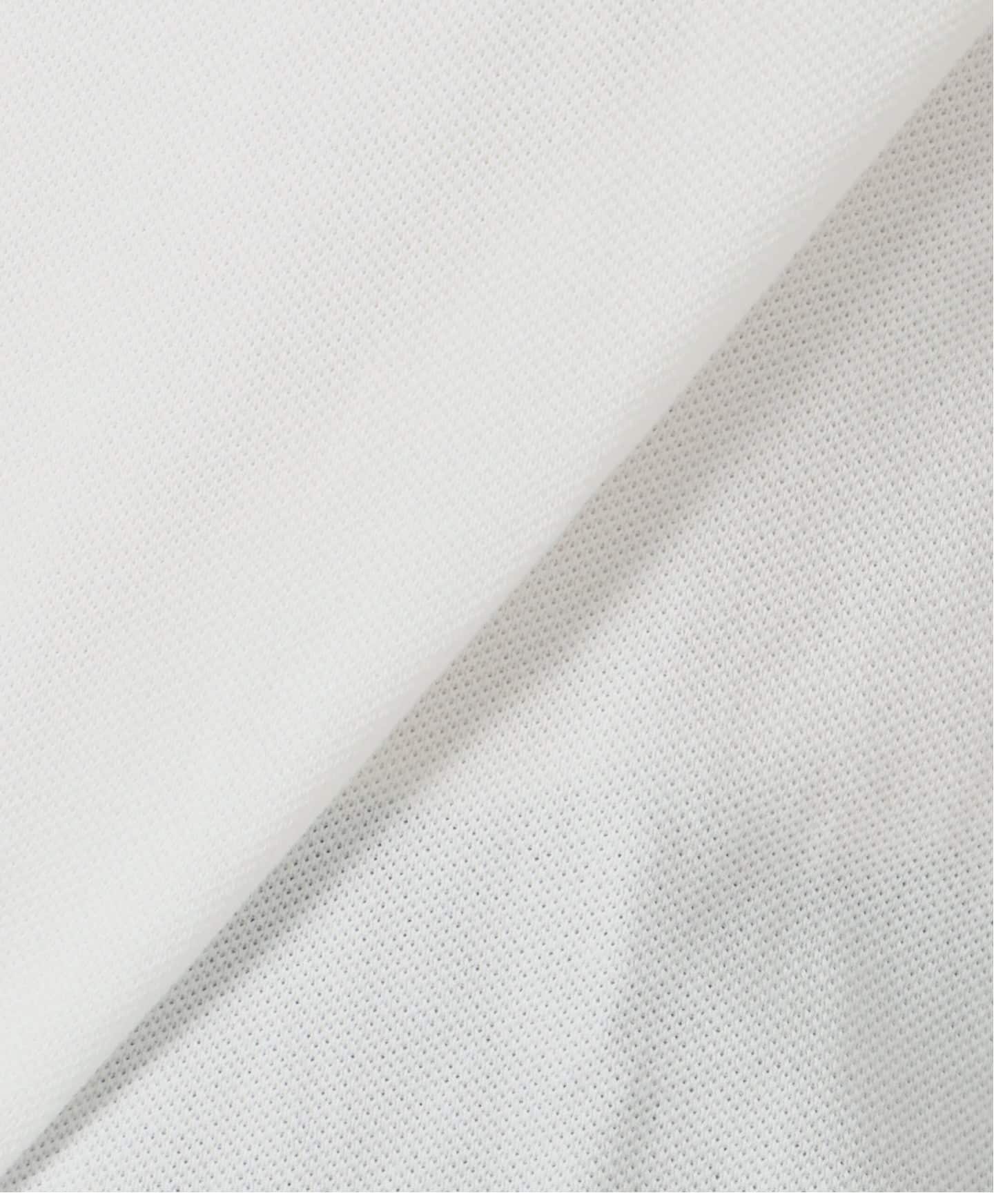 LACOSTE/ラコステ 別注 POLO SHIRTS ポロシャツ PF013J-99（ポロシャツ