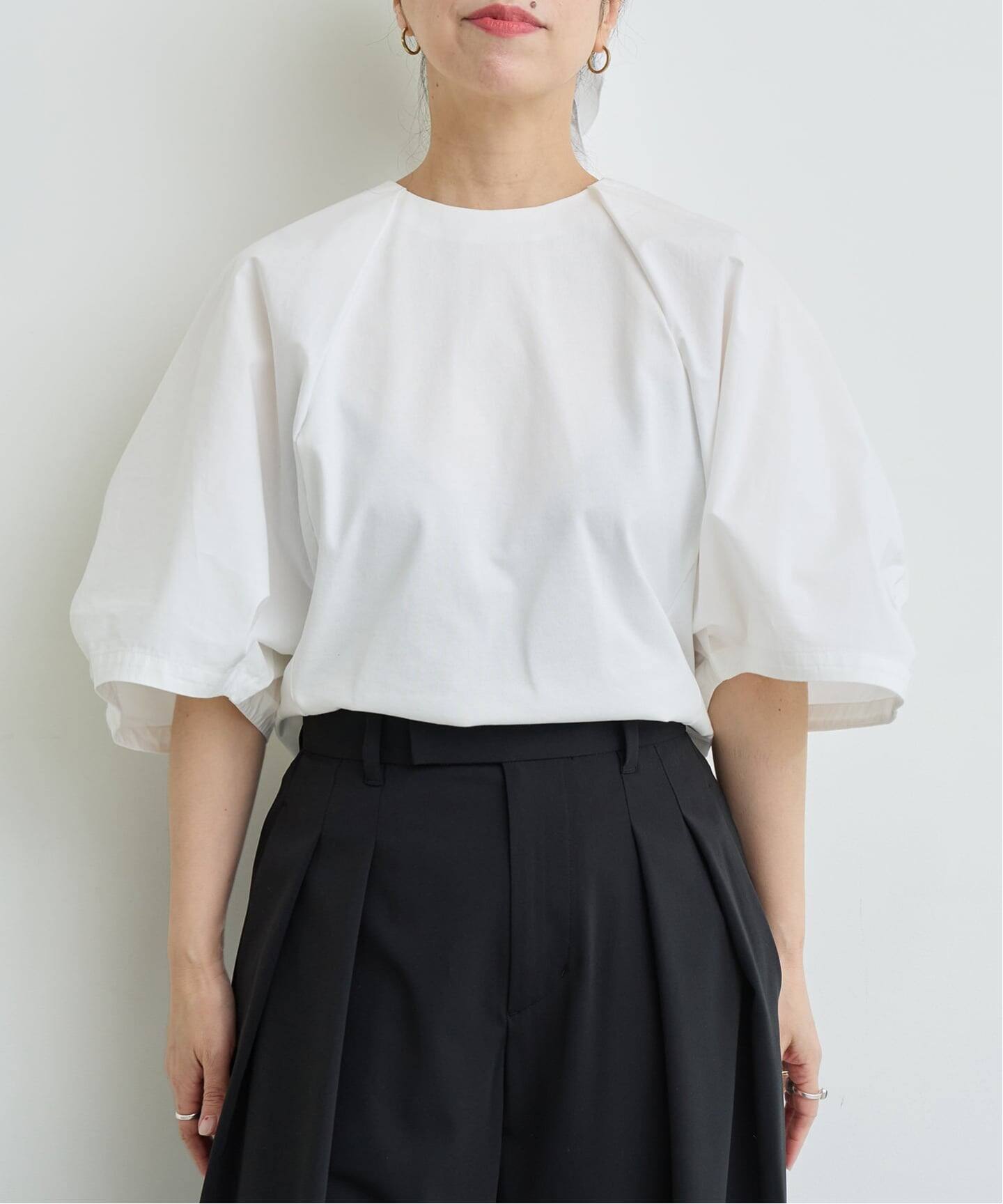 専用★IENA★HIBISCUS ショート丈プルオーバー Summerific® Berry Awesome Hibiscus (Hibiscus 'Berry Awesome') in