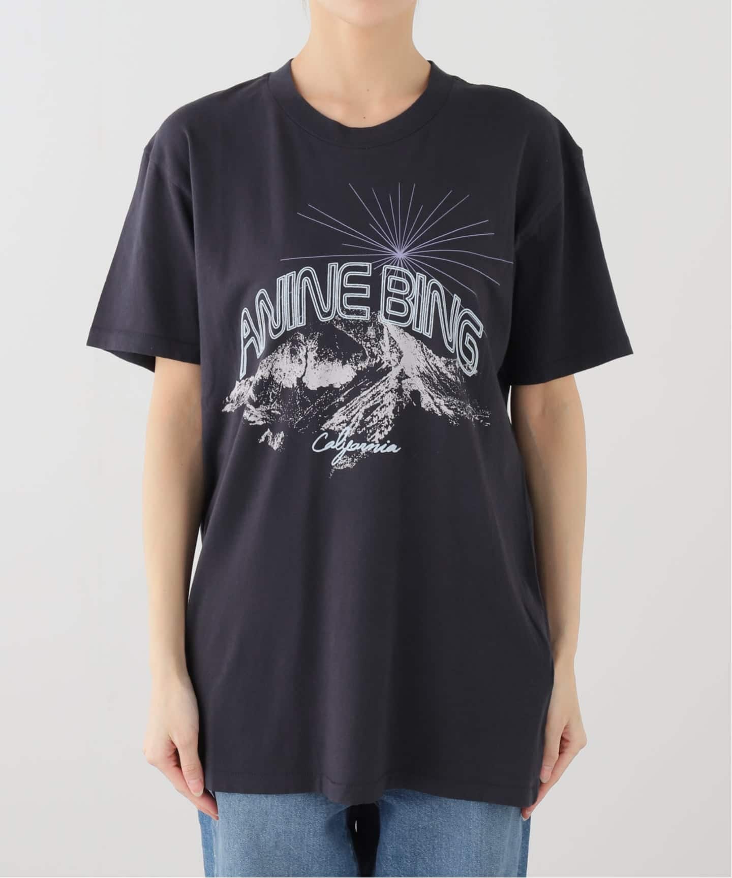 ANINE BING / アニービン WALKER TEE CALIFORNIA Tシャツ（Tシャツ