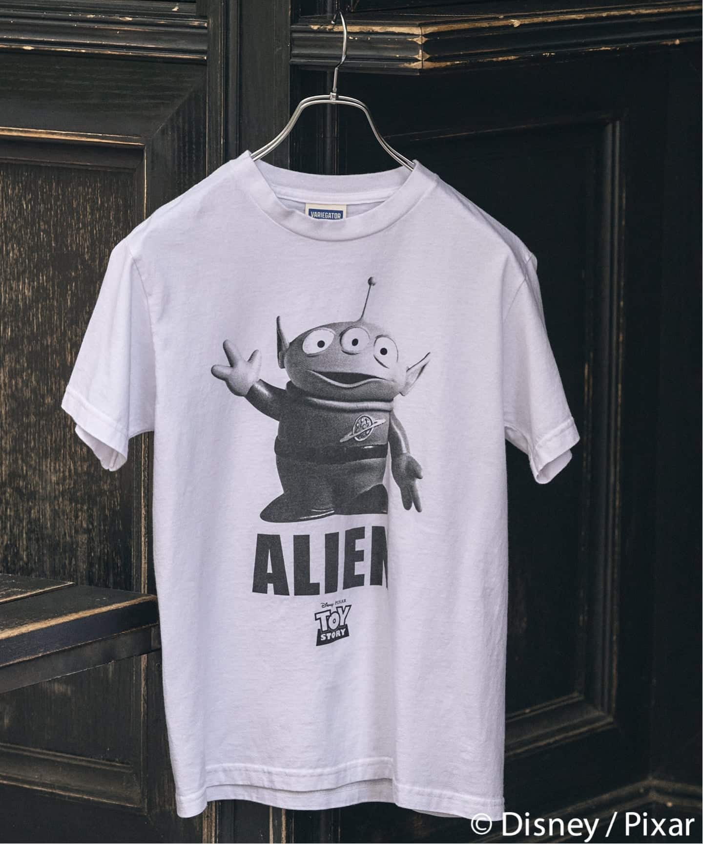 VARIEGATOR Toy Story TEE（Tシャツ／カットソー）｜BOICE FROM