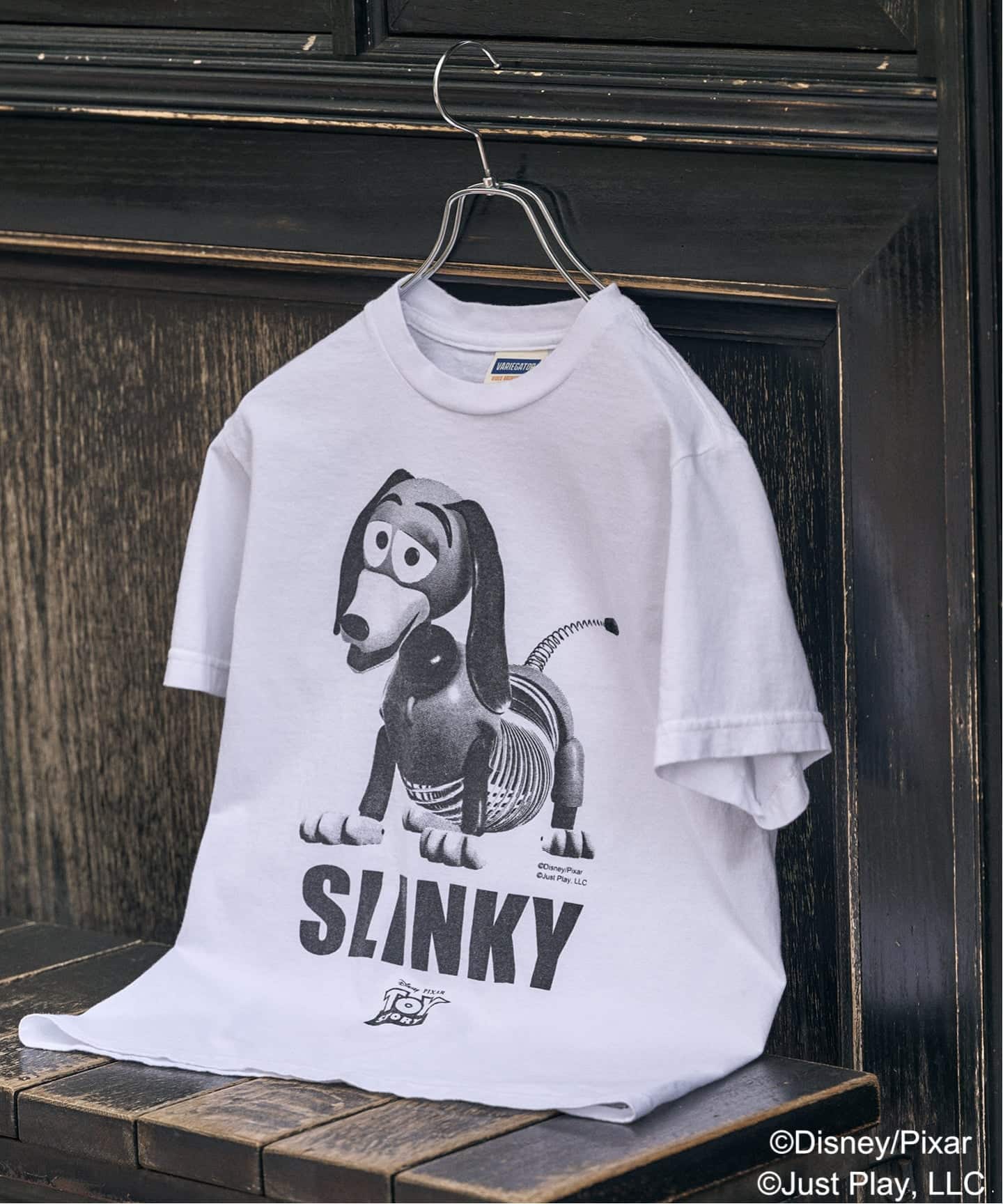 VARIEGATOR Toy Story TEE（Tシャツ／カットソー）｜BOICE FROM