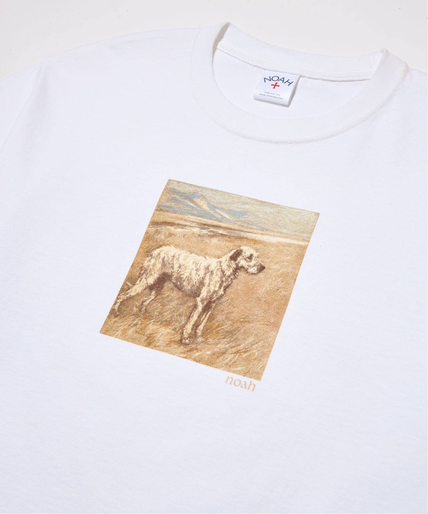 DOG TEE（Tシャツ／カットソー）｜NOAH（ノア）の通販｜BAYCREW'S STORE