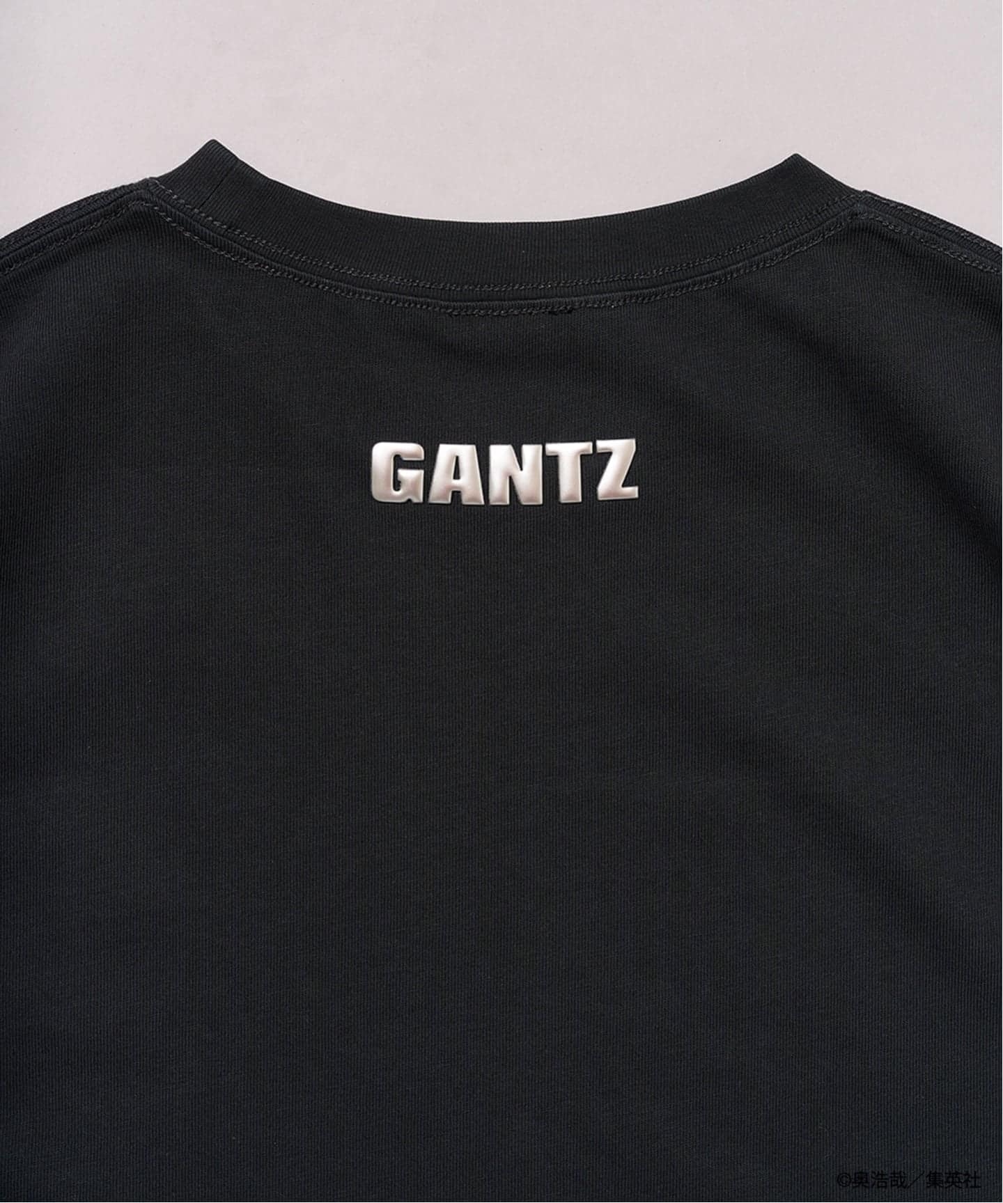 GANTZ / ガンツ 417別注『COLOR WORKS』Tシャツ（Tシャツ／カットソー
