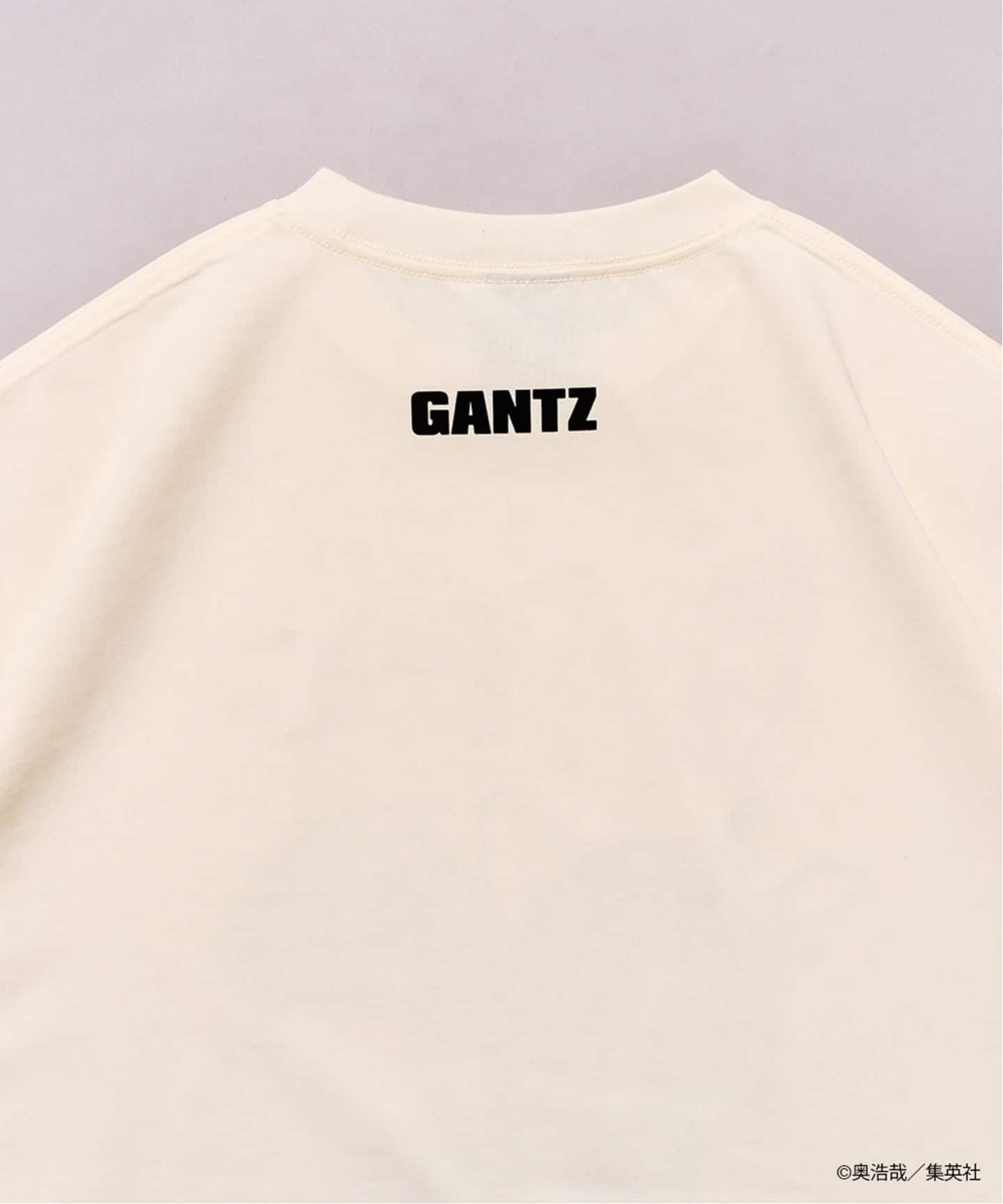 GANTZ / ガンツ 417別注『COLOR WORKS』Tシャツ（Tシャツ／カットソー