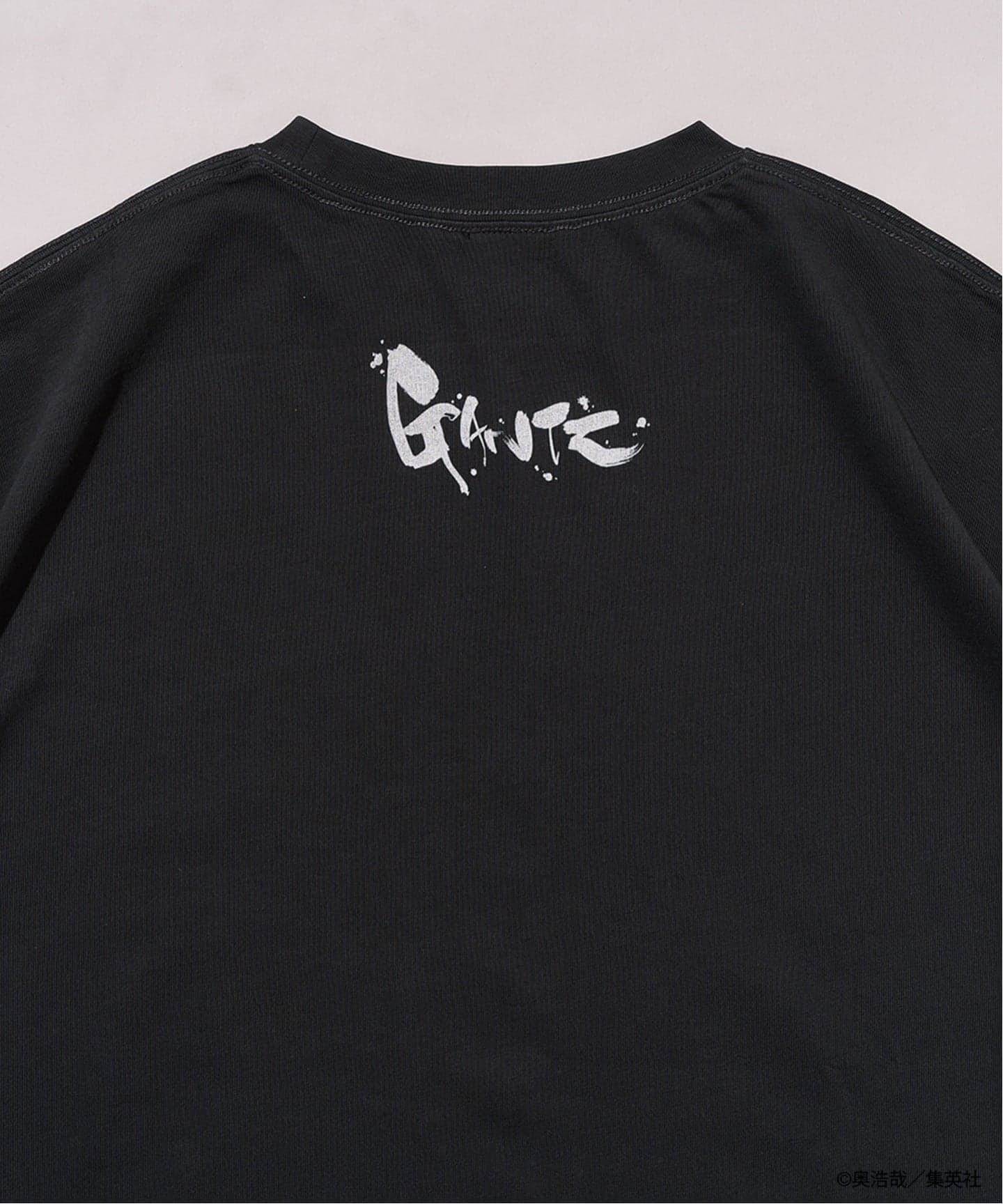 追加｜GANTZ / ガンツ 417別注『COLOR WORKS』Tシャツ（Tシャツ