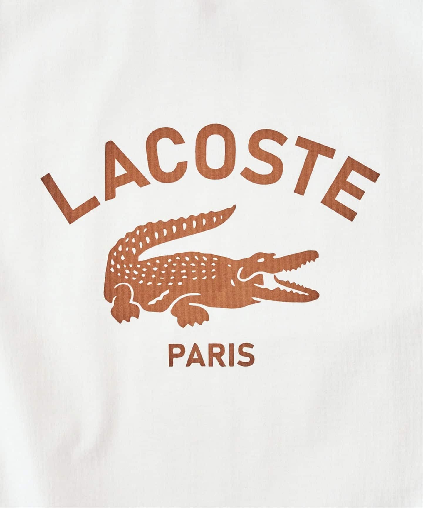 LACOSTE / ラコステ】 417別注 Print Tシャツ（Tシャツ／カットソー