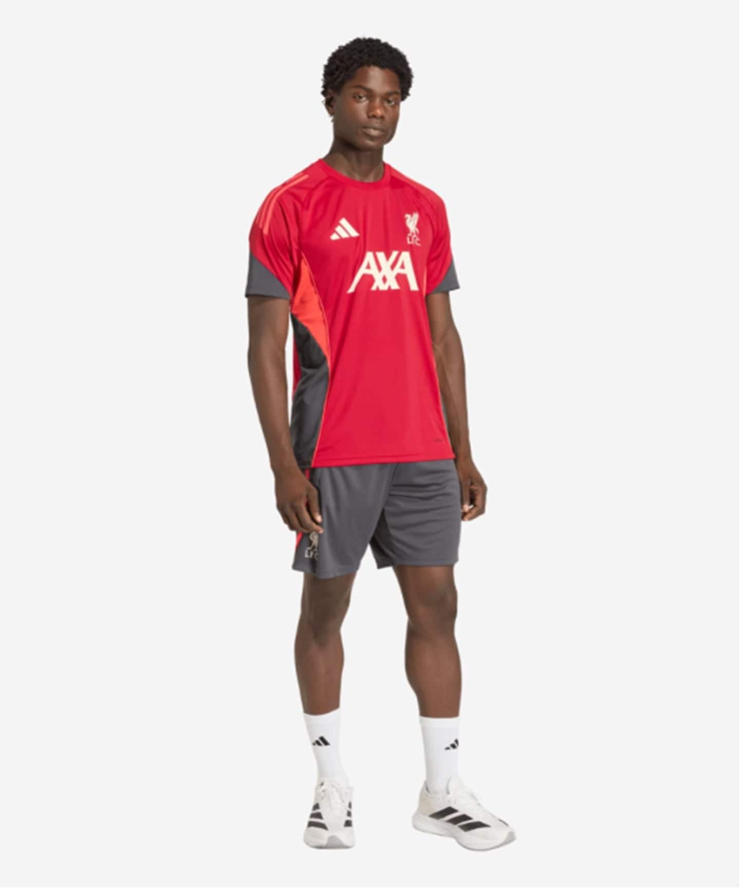 Liverpool FC / リバプール FC】ADIDAS TR JSY（Tシャツ／カットソー