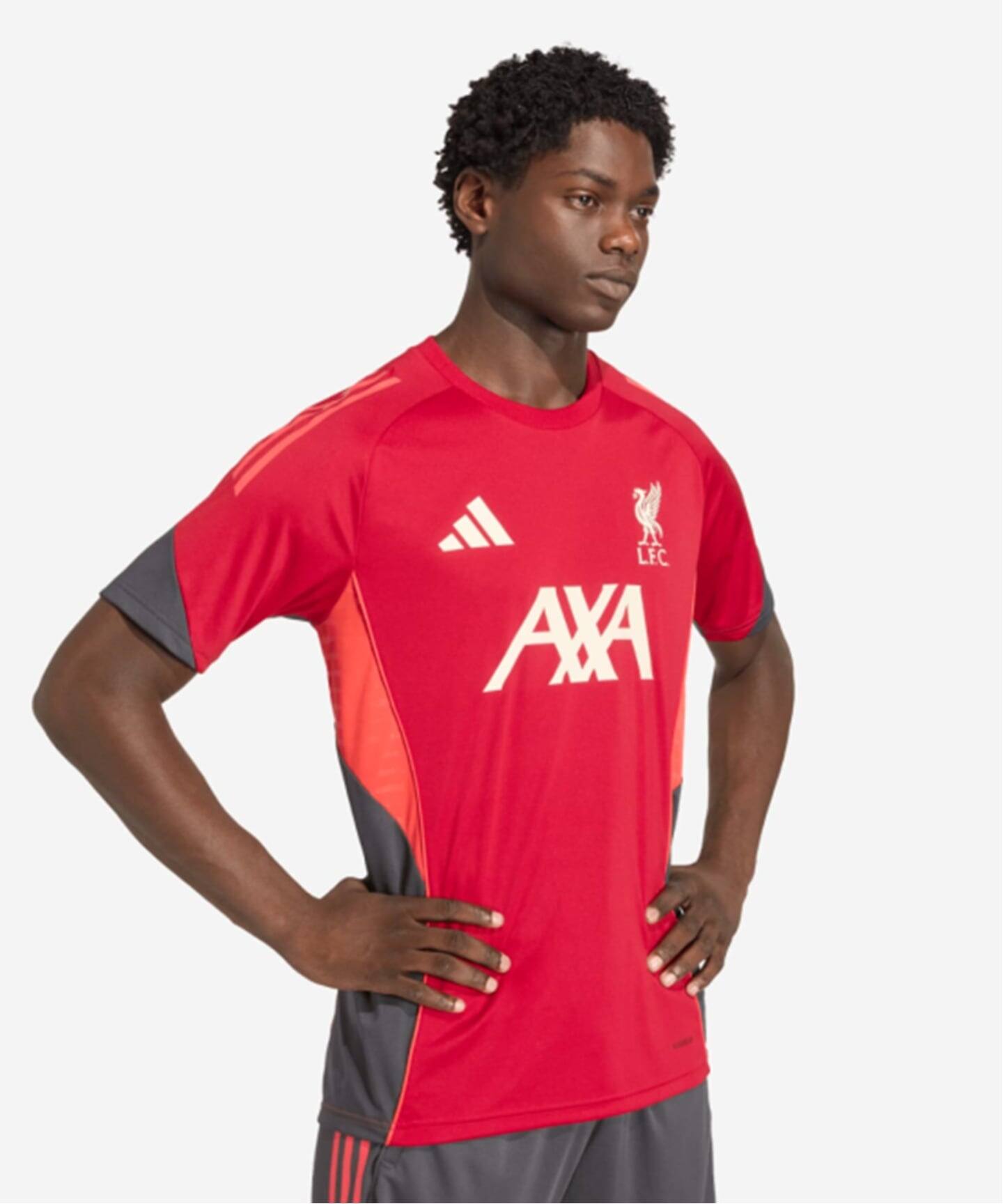 Liverpool FC / リバプール FC】ADIDAS TR JSY（Tシャツ／カットソー