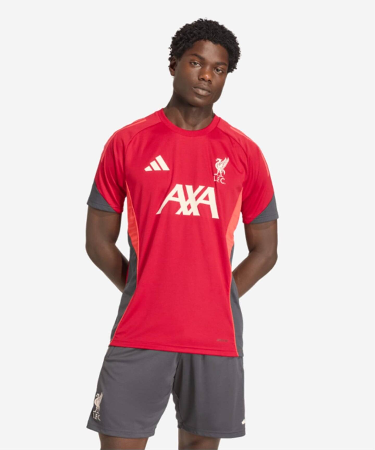 Liverpool FC / リバプール FC】ADIDAS TR JSY（Tシャツ／カットソー