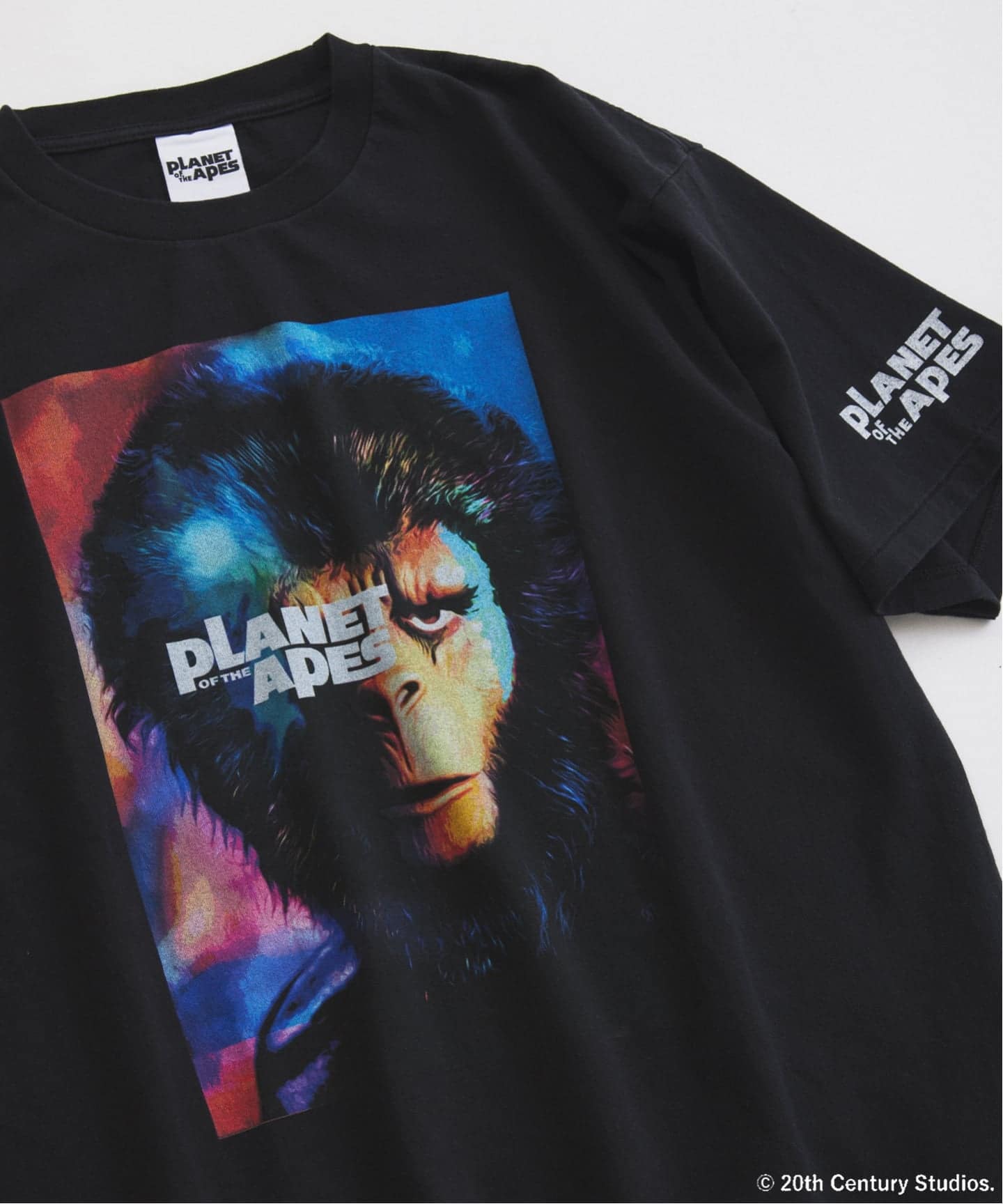 PLANET OF THE APES / 猿の惑星 別注 プリント Tシャツ（Tシャツ