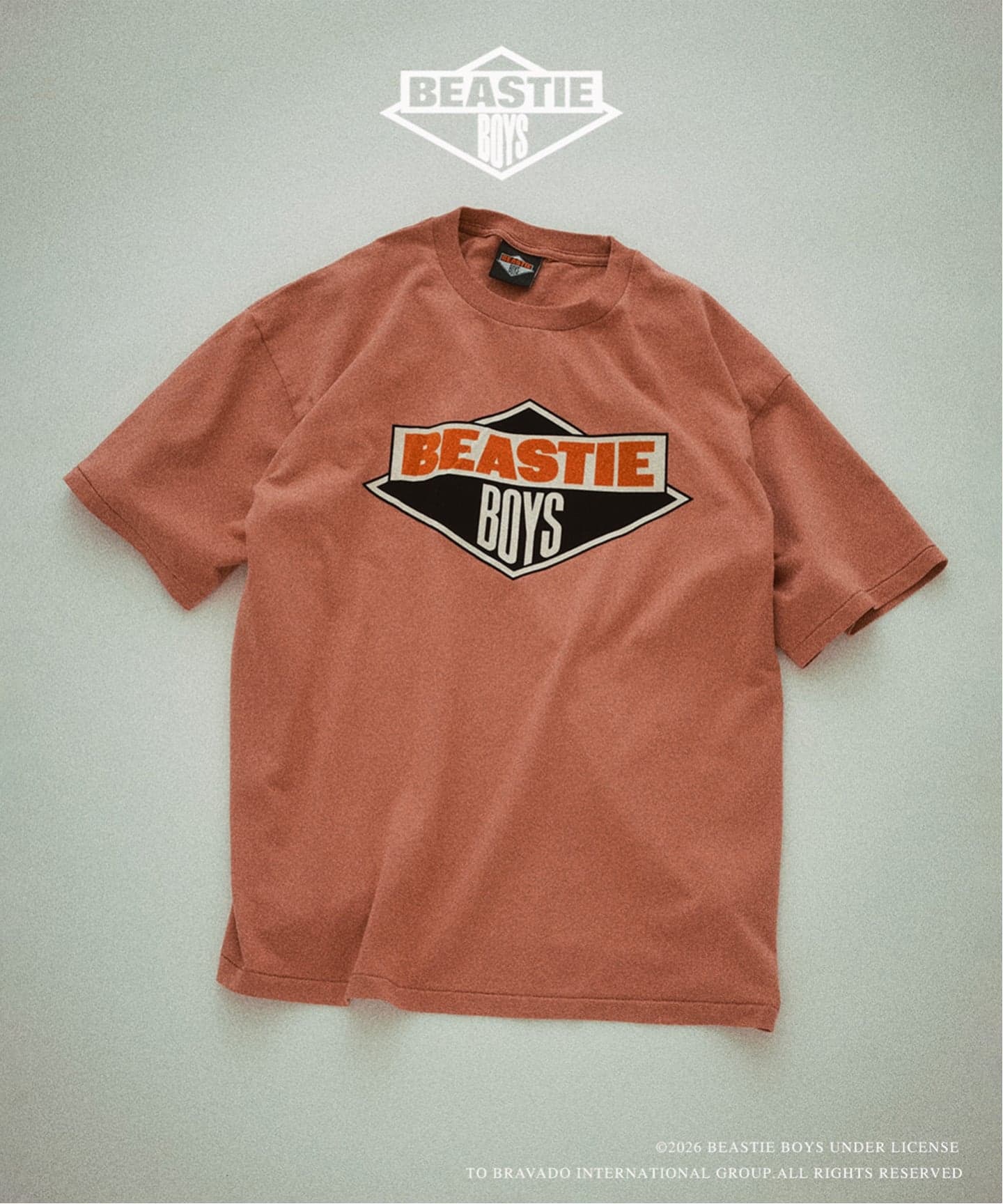BEASTIE BOYS / ビースティ・ボーイズ 別注 ヴィンテージ加工 プリント