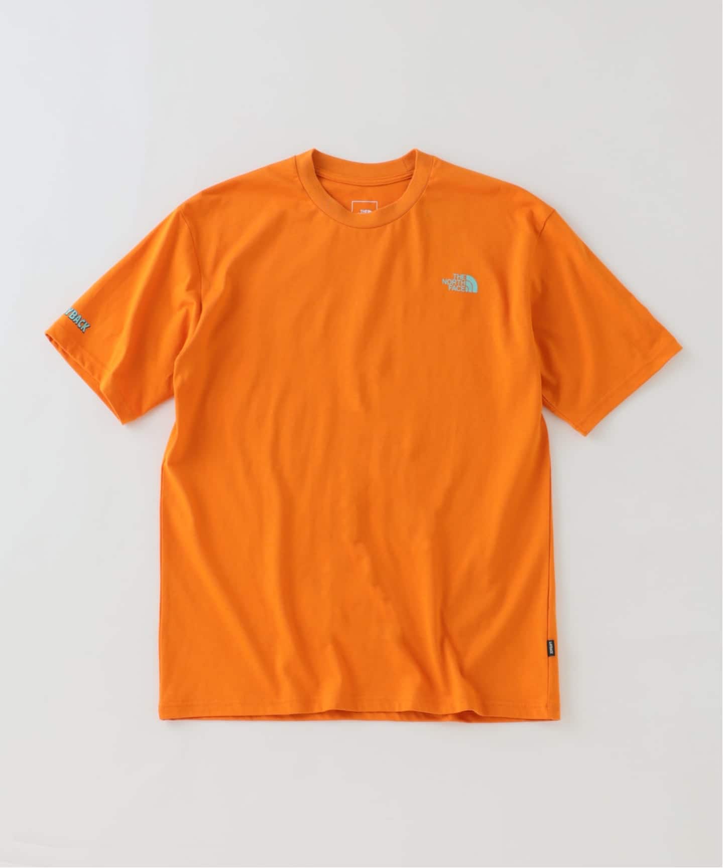 THE NORTH FACE / ノースフェイス レイバックトライバルティー（T