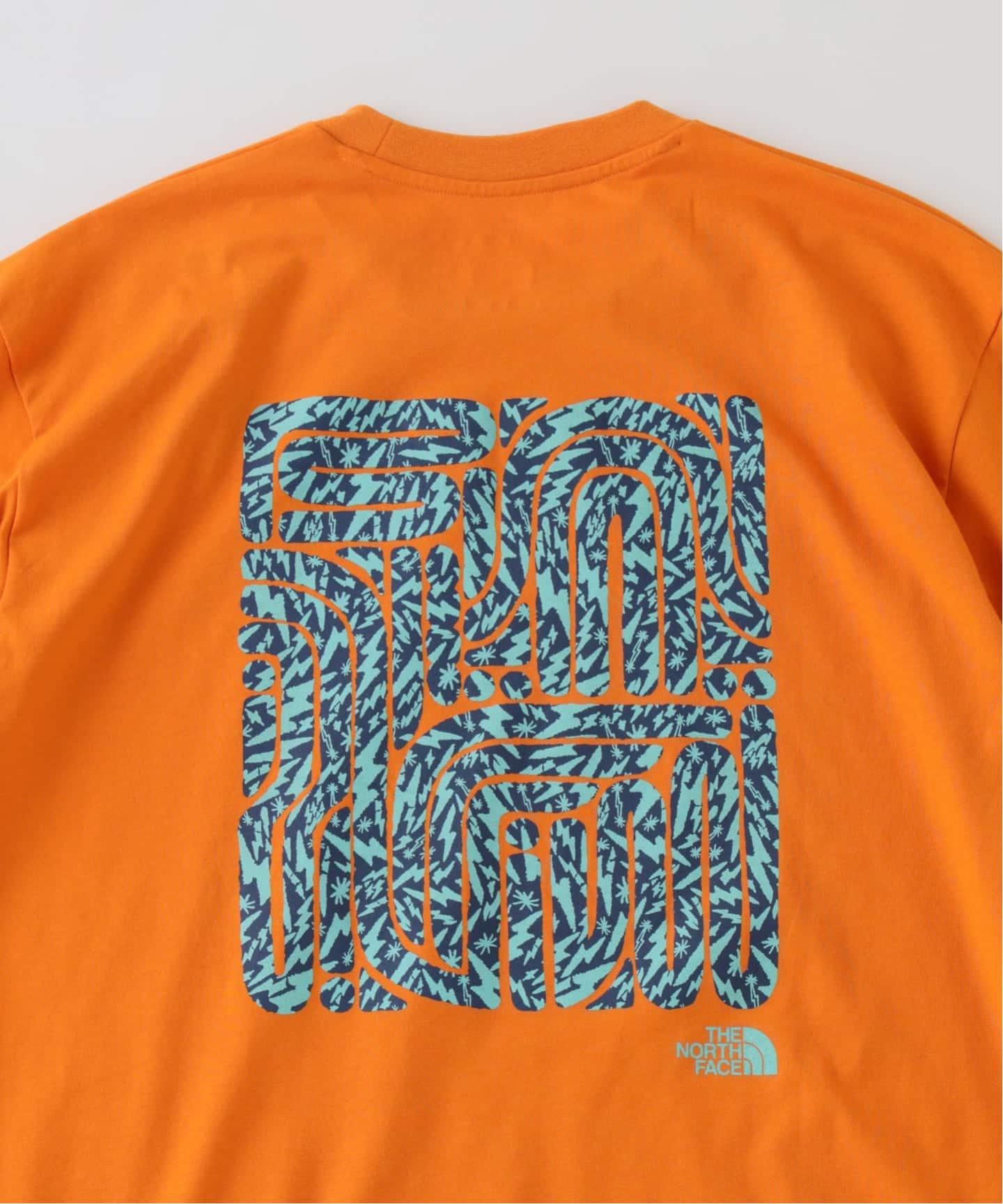 THE NORTH FACE / ノースフェイス レイバックトライバルティー（T