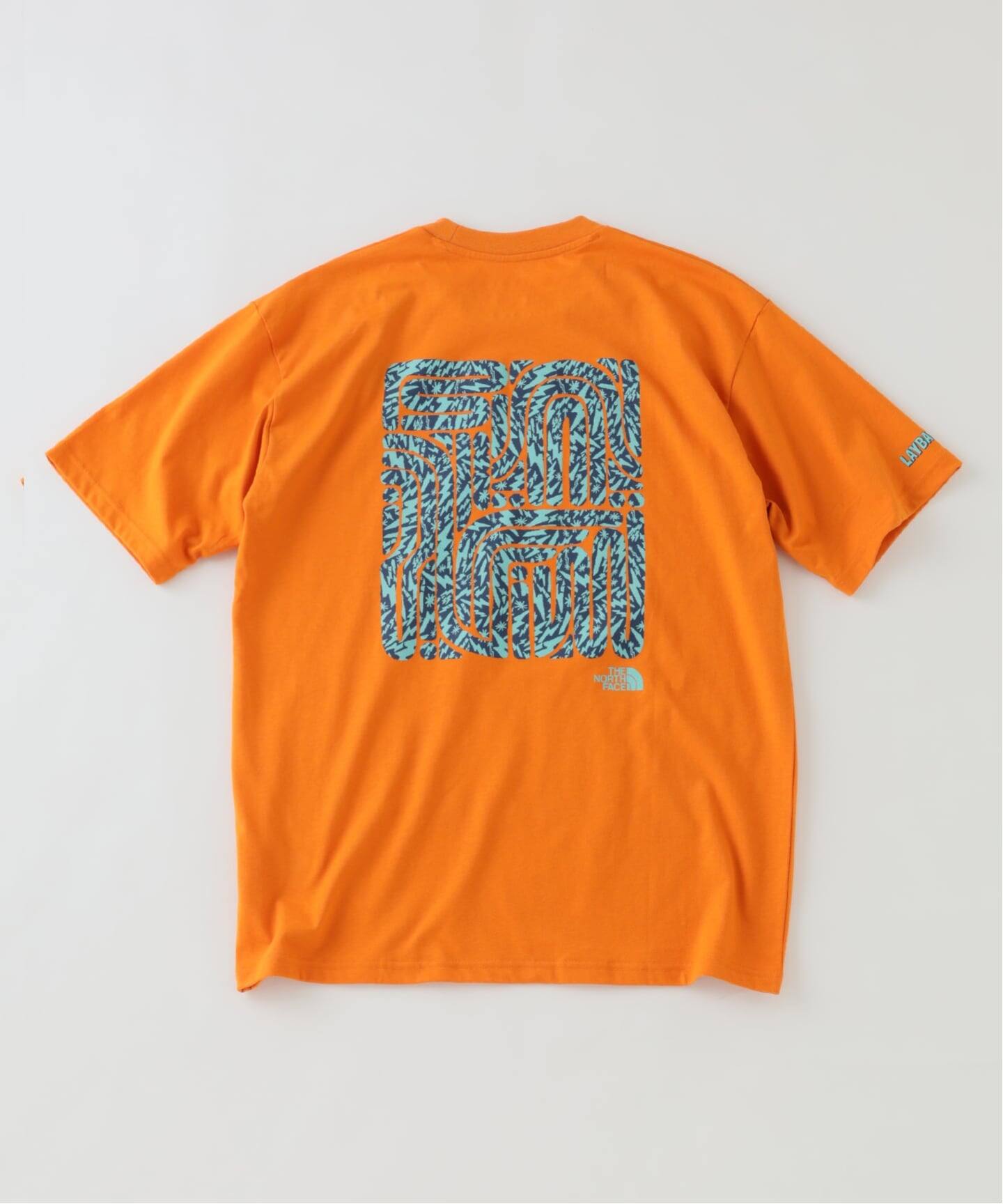 THE NORTH FACE / ノースフェイス レイバックトライバルティー（T