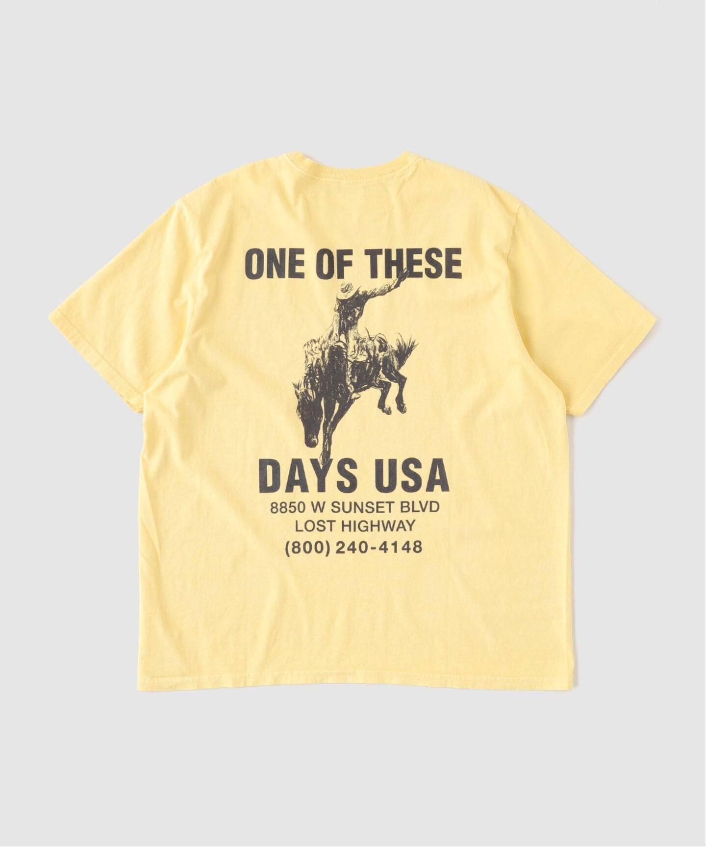 ONE OF THESE DAYS BREAK ON THROUGH TSHIRT（Tシャツ／カットソー