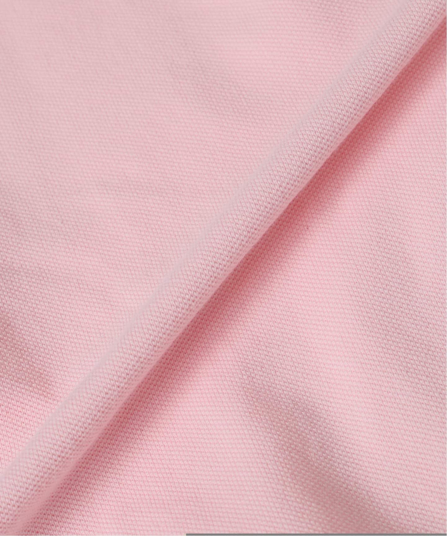 LACOSTE / ラコステ 別注 ヘビー ピケ ポロシャツ（ポロシャツ
