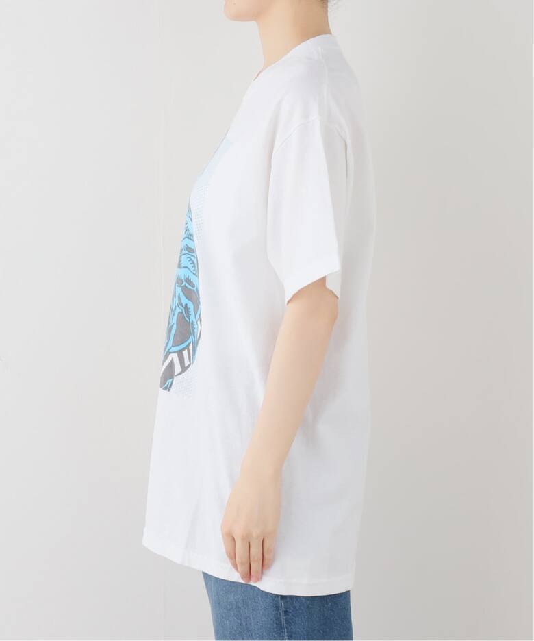 VARIEGATOR / ヴァリゲイター Venom /Tee（Tシャツ／カットソー 