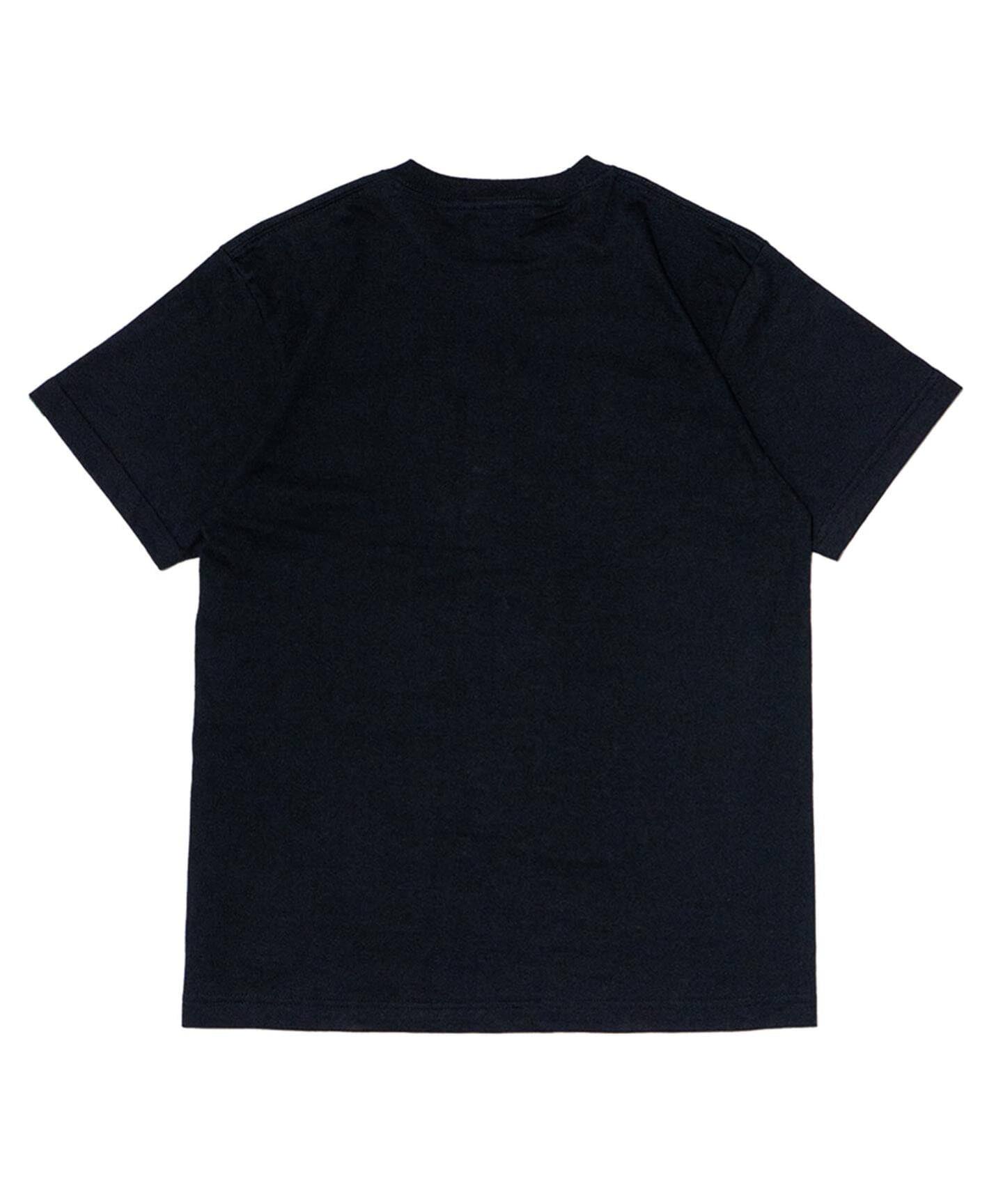 SAGE / セイジ Panoramic Tee（Tシャツ／カットソー）｜JOINT WORKS