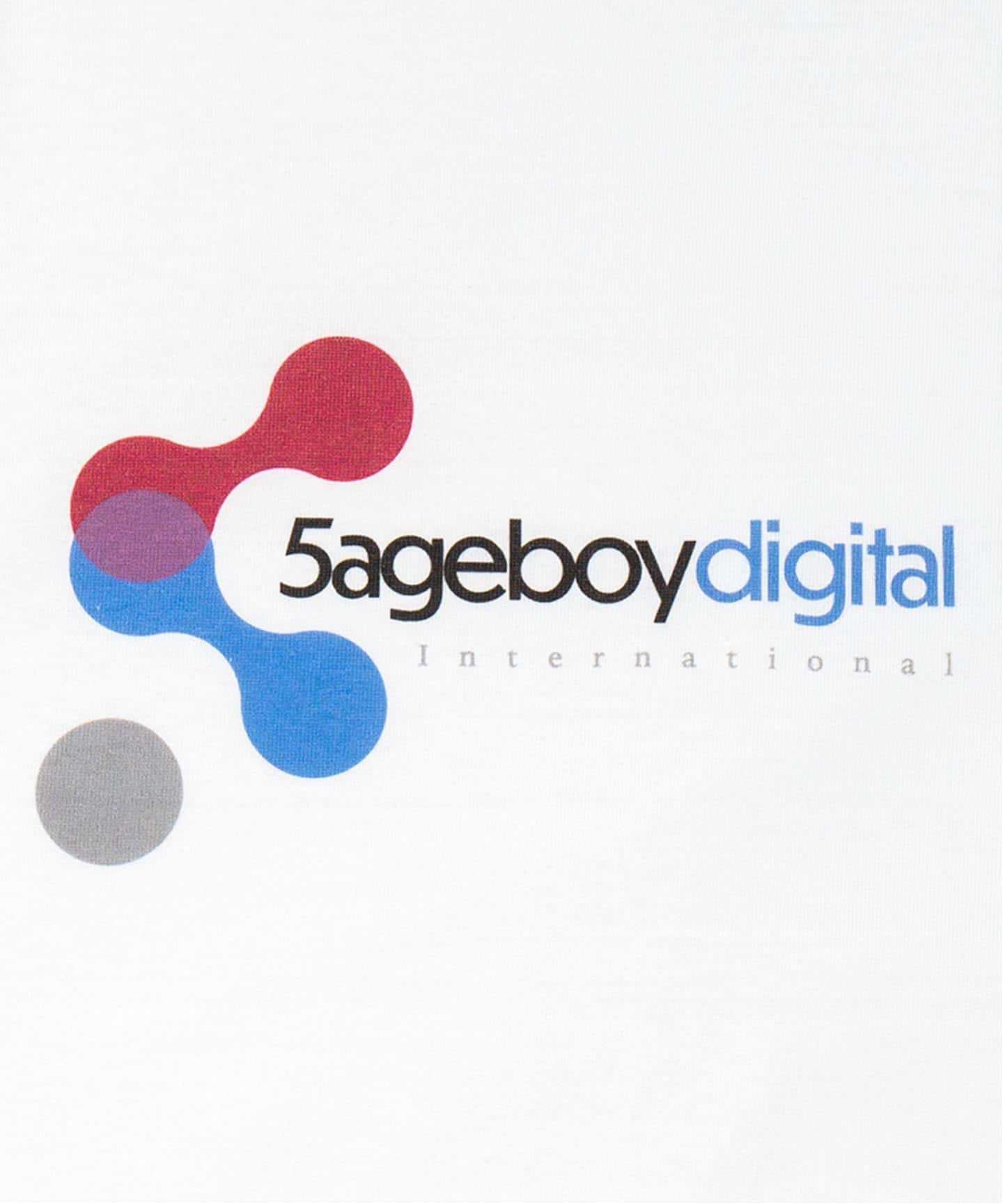 5ageboy Tシャツ SAGE / セイジ 5ageboy digital S/S Tee（Tシャツ／カットソー