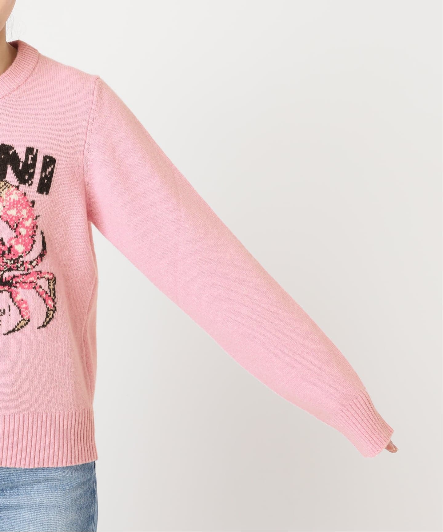 新宿・WEB限定 / 予約》GANNI / ガニー Graphic Wool Sweater Crab