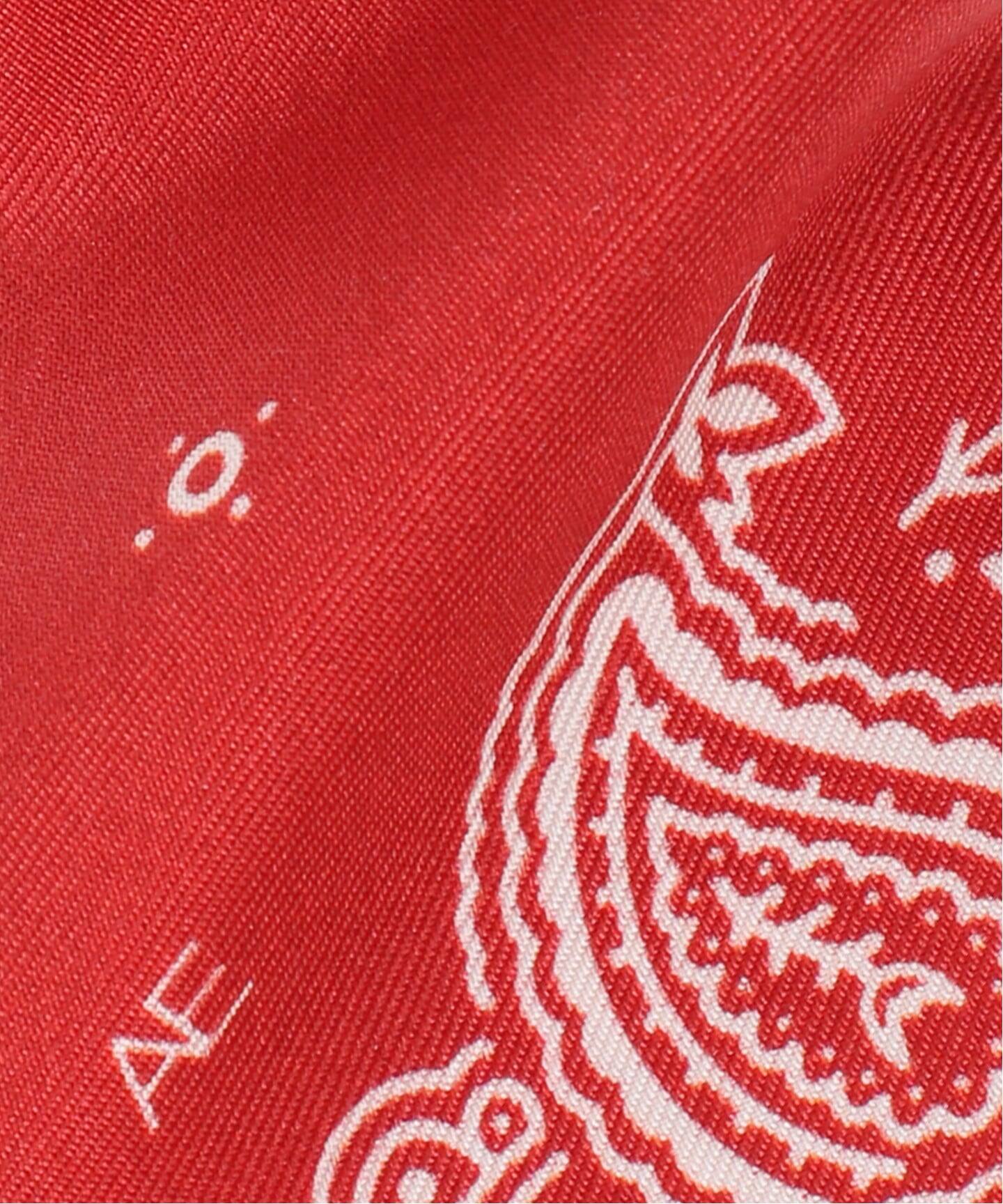 AENEIS/エネス】Minimal Illusion Silk Twill Bande：スカーフ