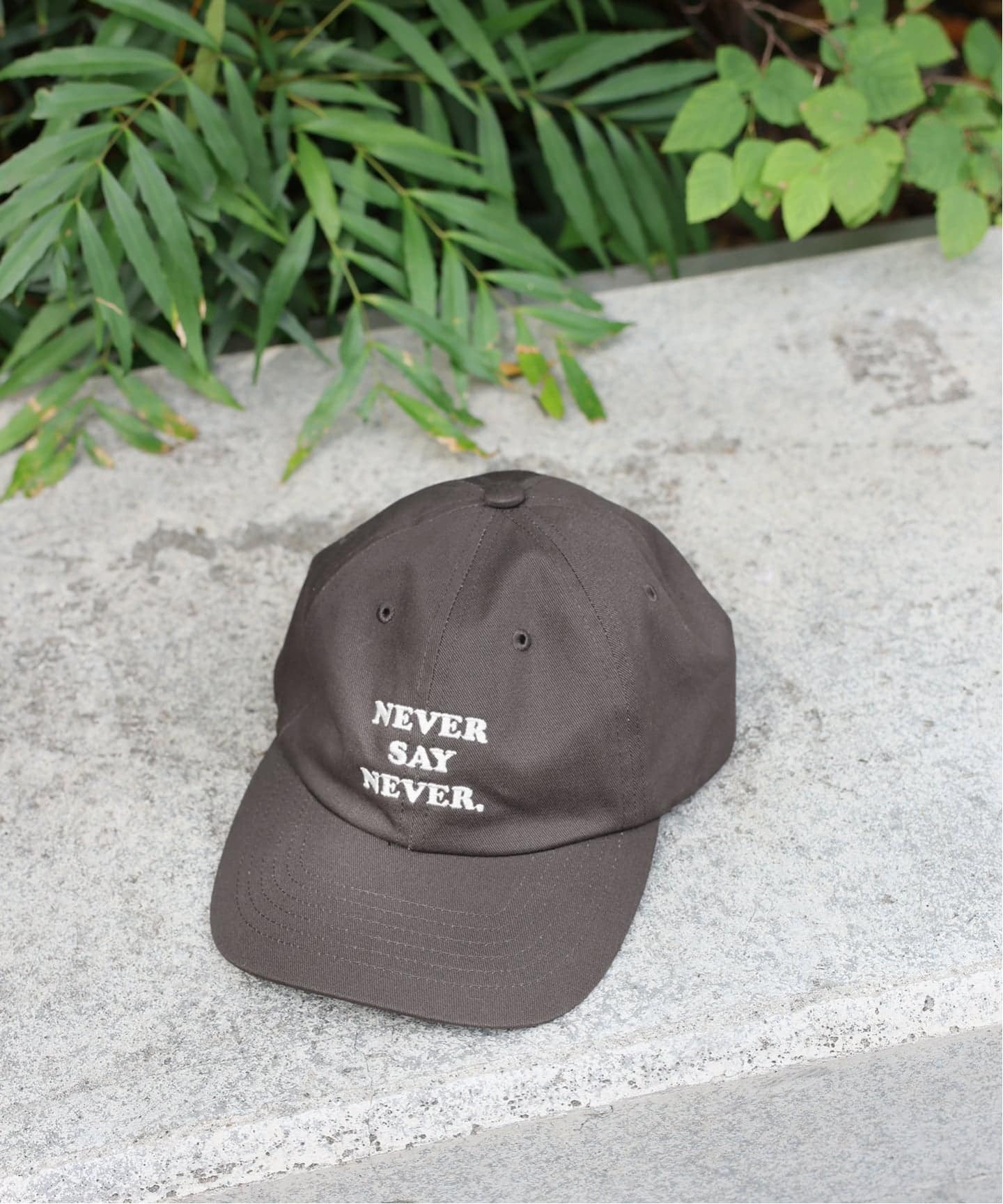 JS FES LOGO CAP（キャップ）｜JOURNAL STANDARD（ジャーナル