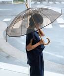 《追加予約》【TRADITIONAL WEATHERWEAR】CLEAR UMBRELLA BAMBOO：傘