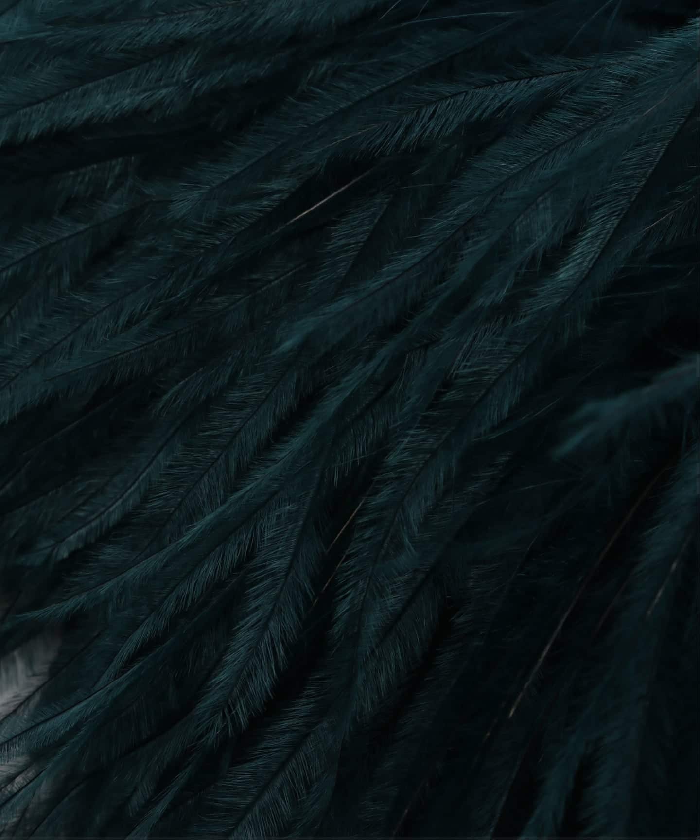 INDRESS/インドレス】 OSTRICH FEATHER BROOCHES（その他ファッション