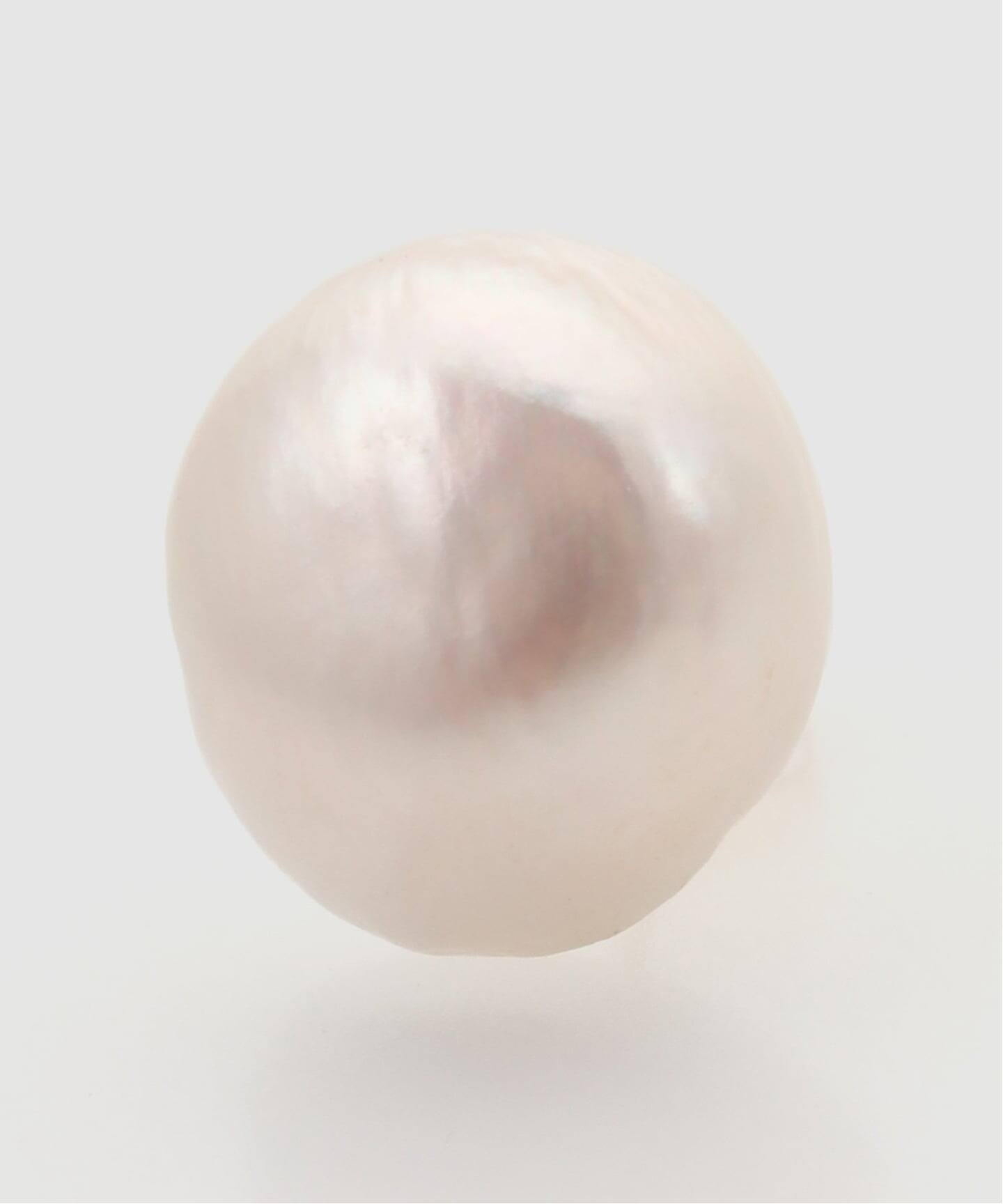 新品未使用！AGARDEN OF EDEN x IENA パールピアス　K10 GARDEN OF EDEN/ガーデン オブ エデン Button Pearl pirce ピアス(両耳